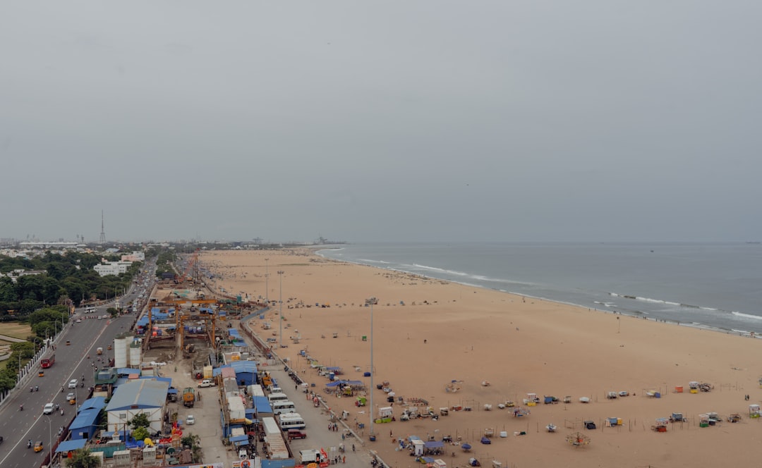 Affordable team outing planning Chennai with corporate employees enjoying outdoor activities