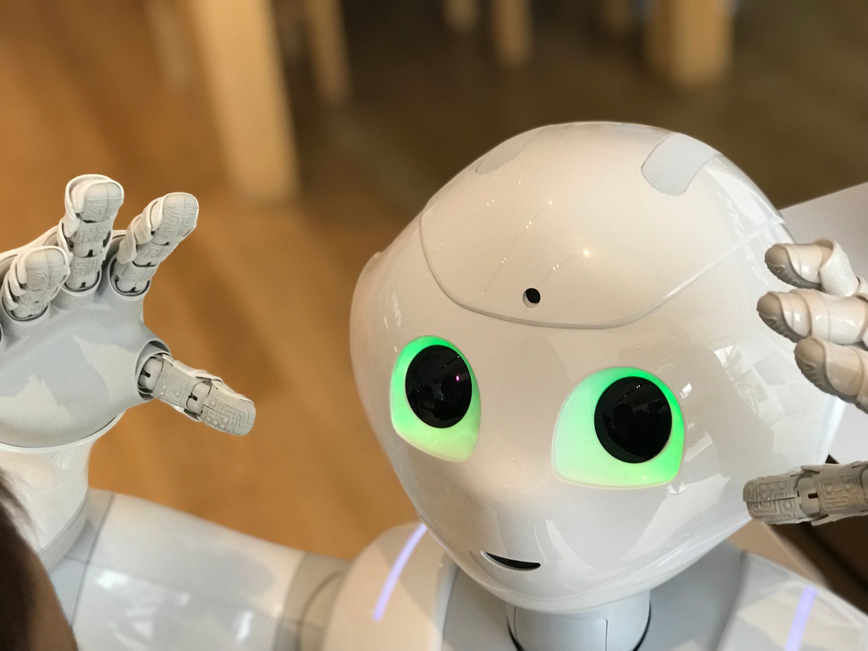 Destination Humanoid Robot