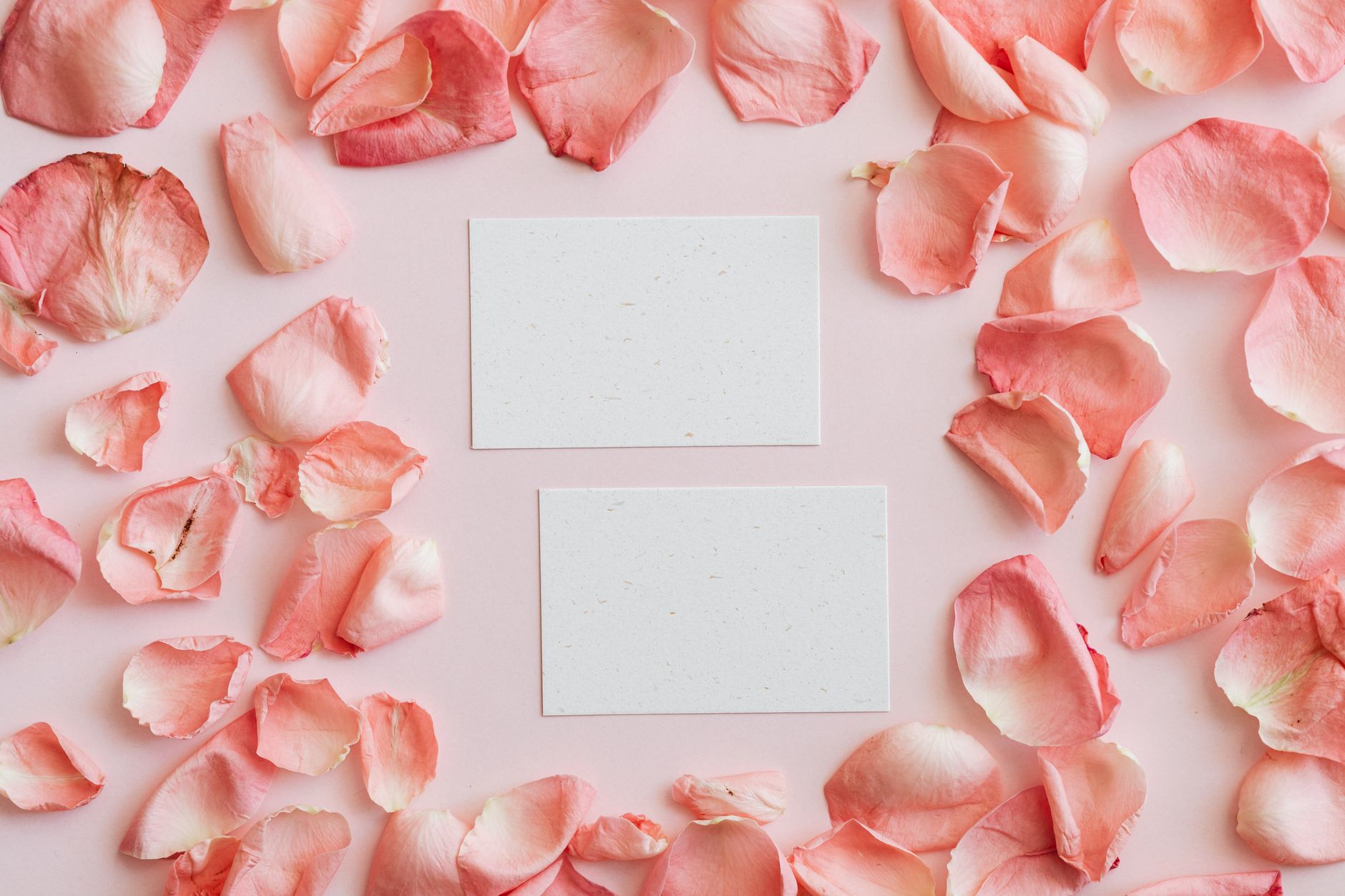 Plantable Save the Date Cards