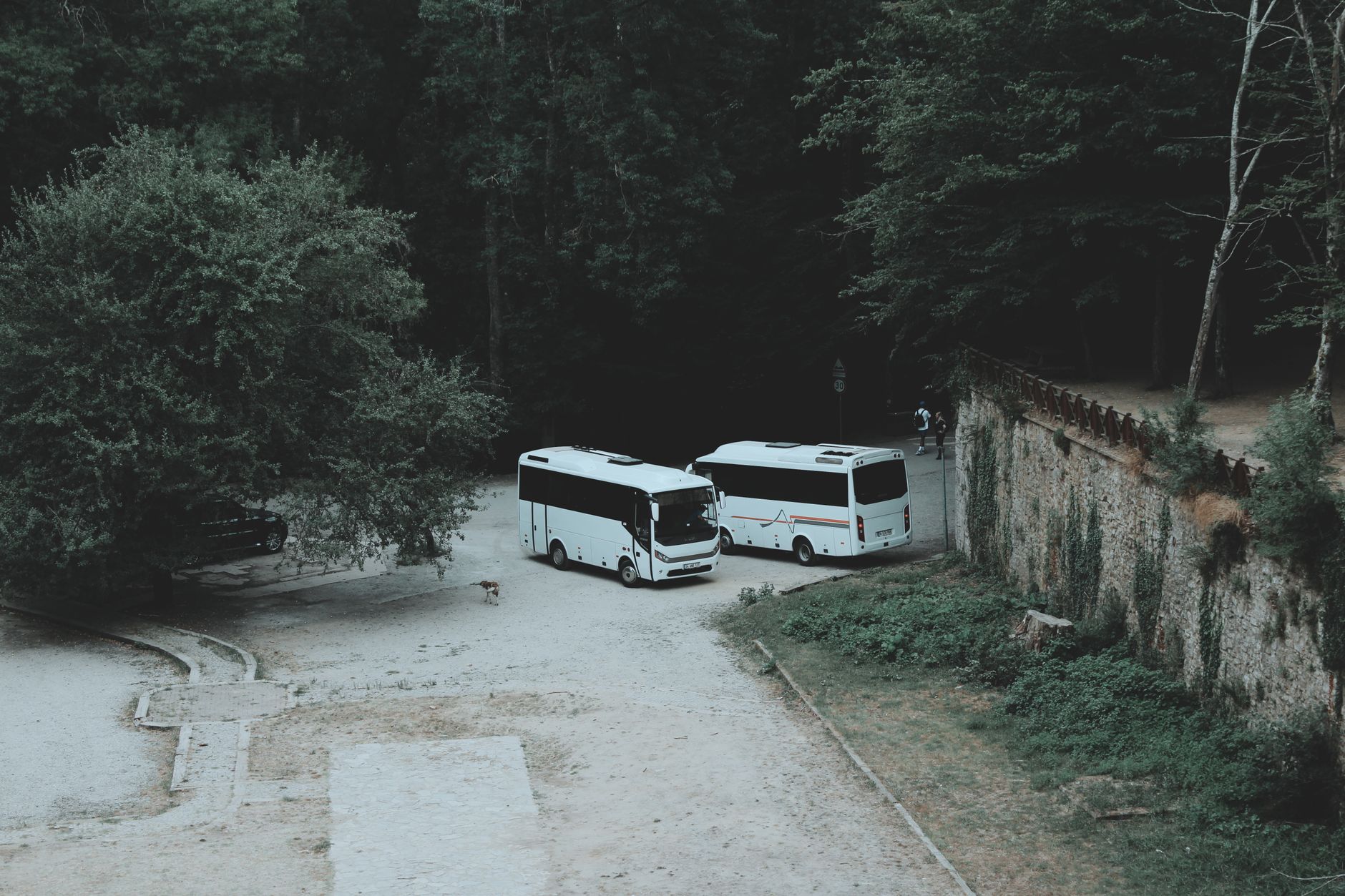 Executive Bus Transport