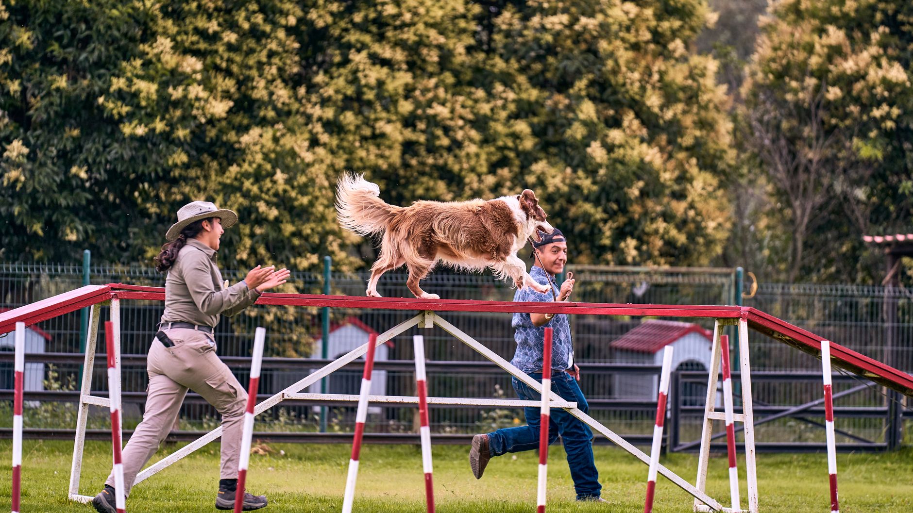 Keep Your Pets Safe & Happy at Your Event