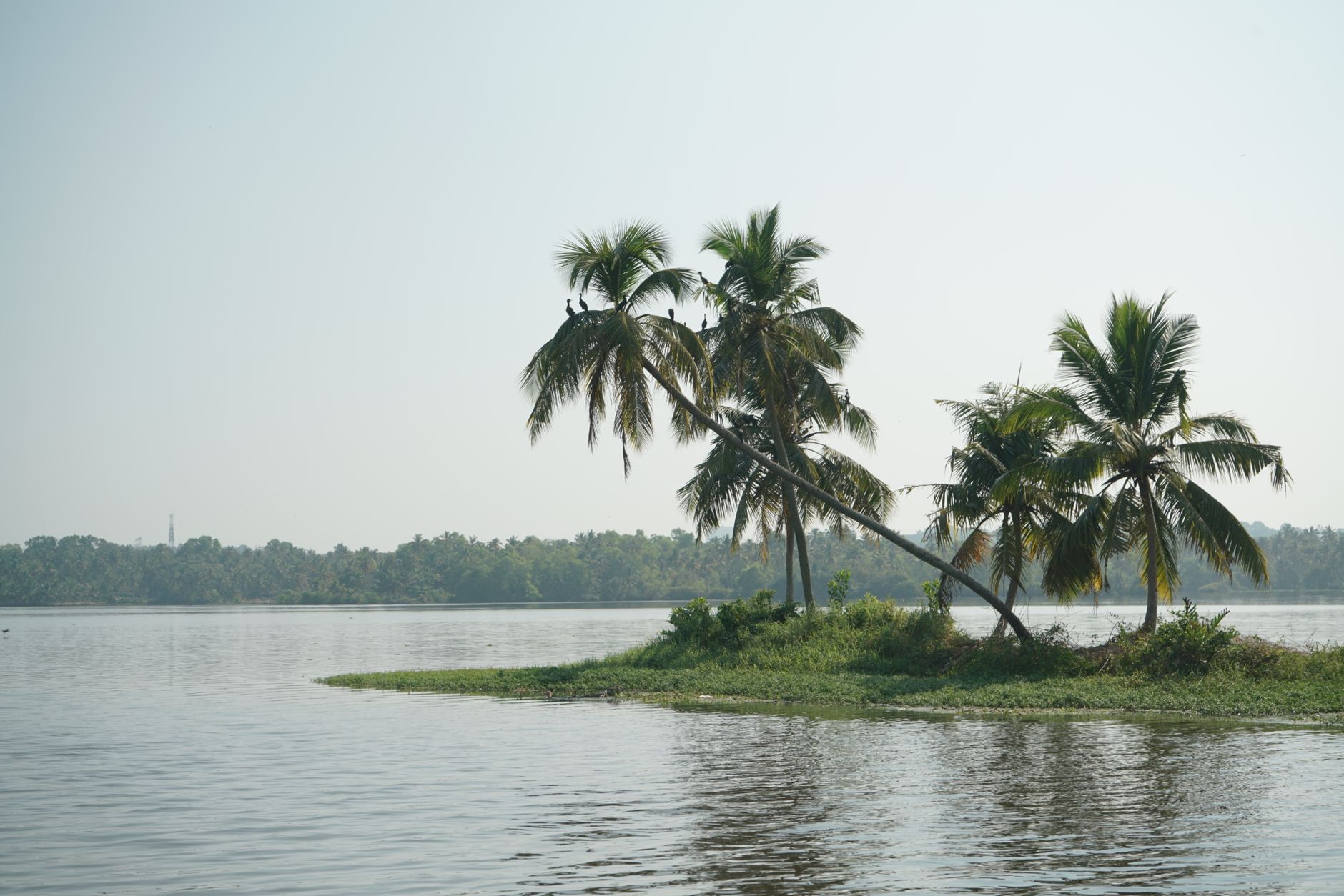 Hassle-Free Bar Permits for Alappuzha Events
