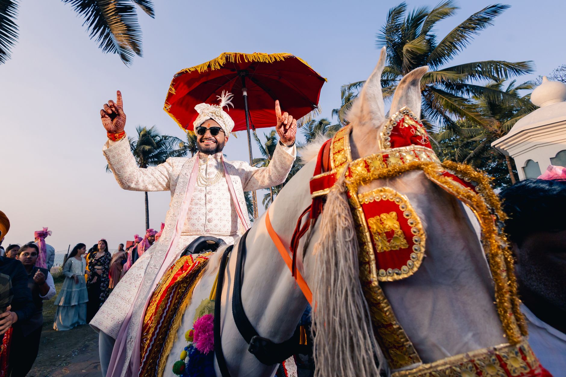 Ceremonial Horse Hire