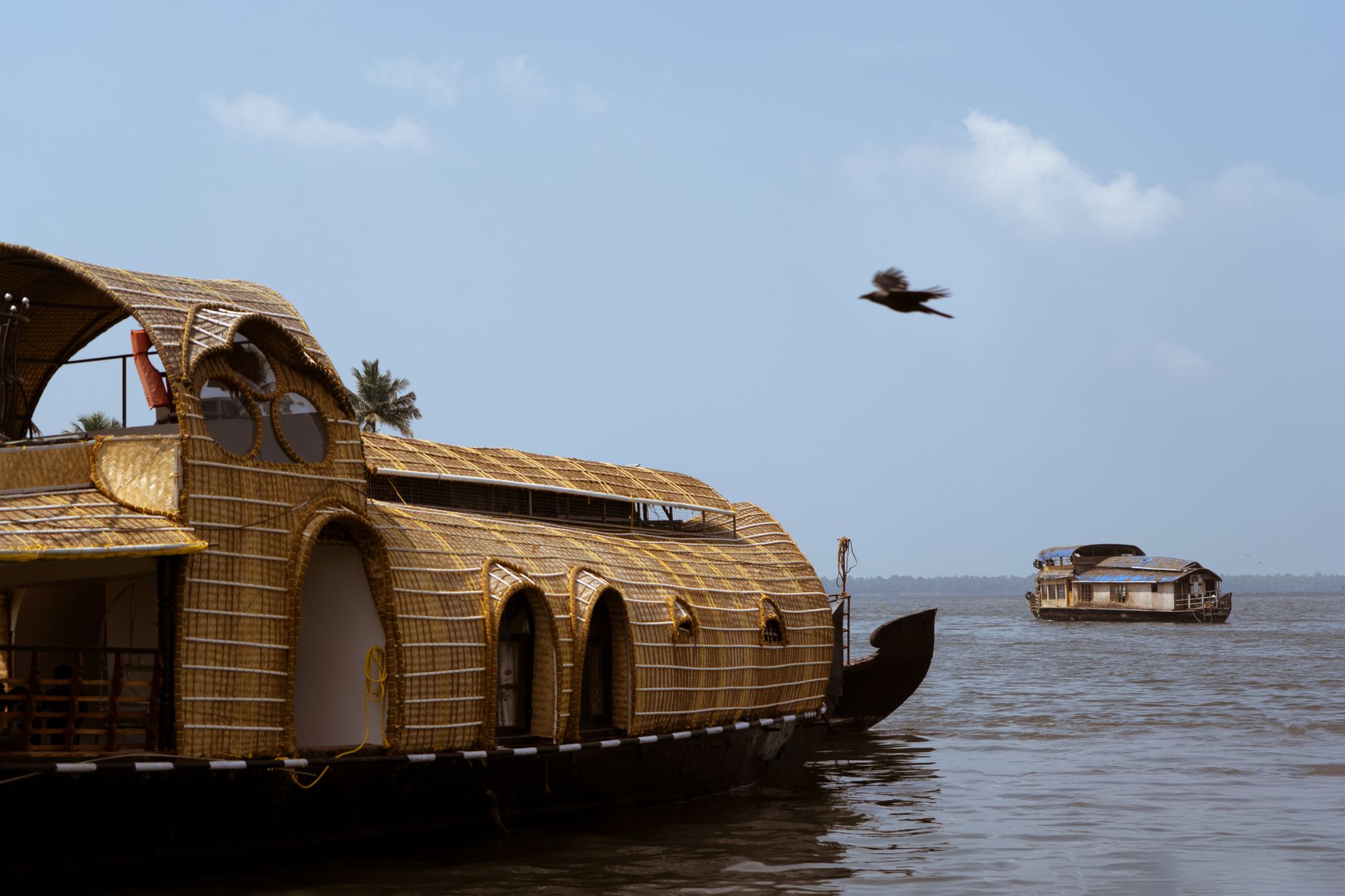 Love Stories on the Backwaters