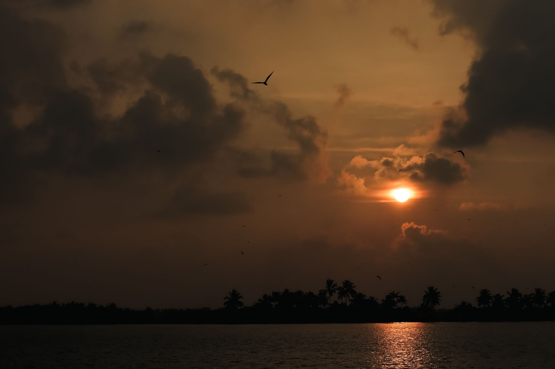 Book a Private Yoga Instructor in Alappuzha