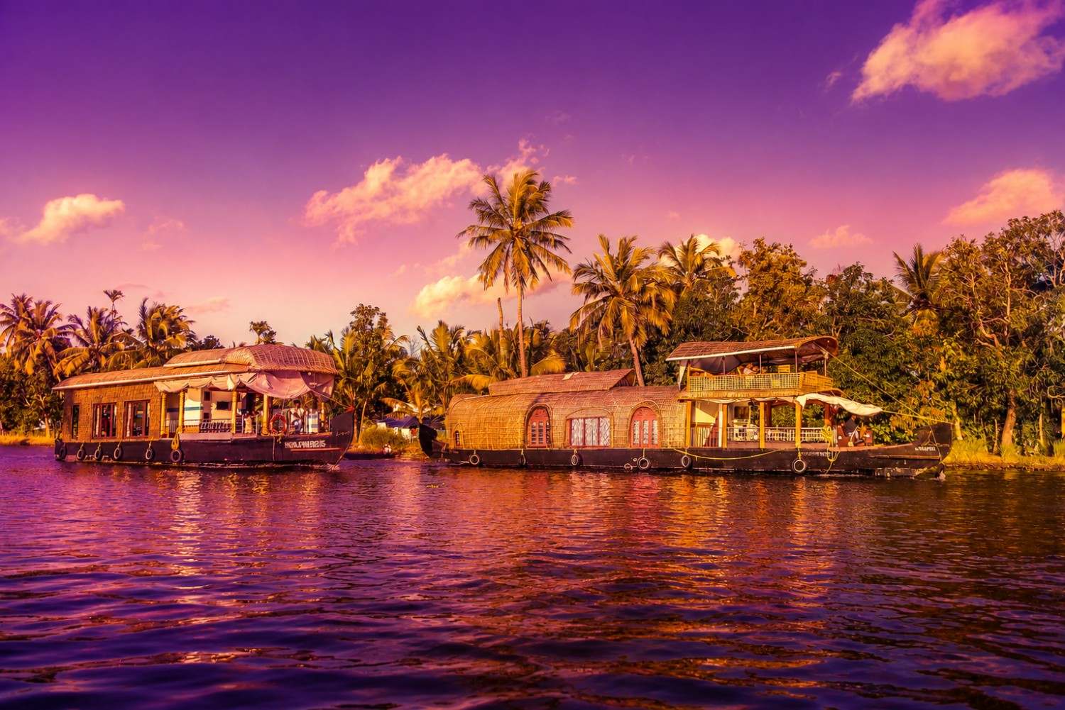 Celebrate in Alappuzha