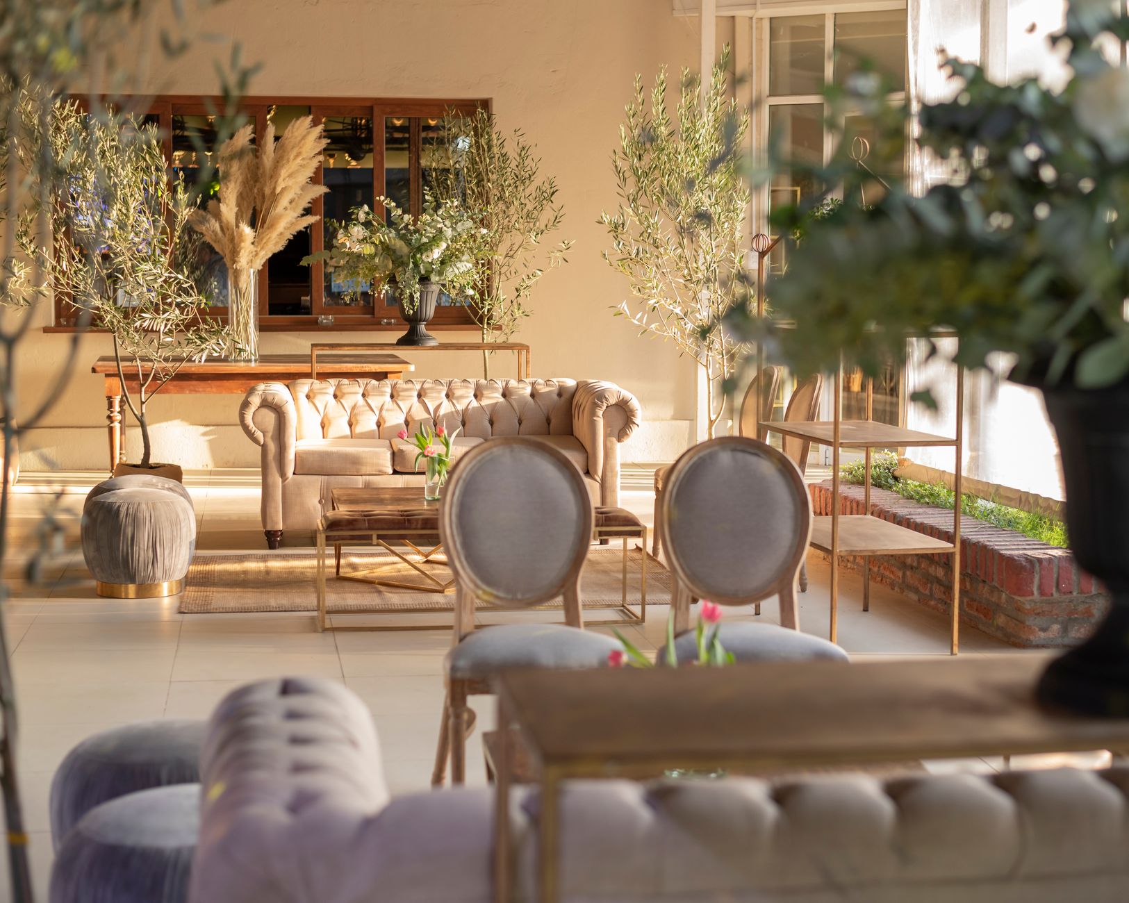 Affordable Sofa Rentals