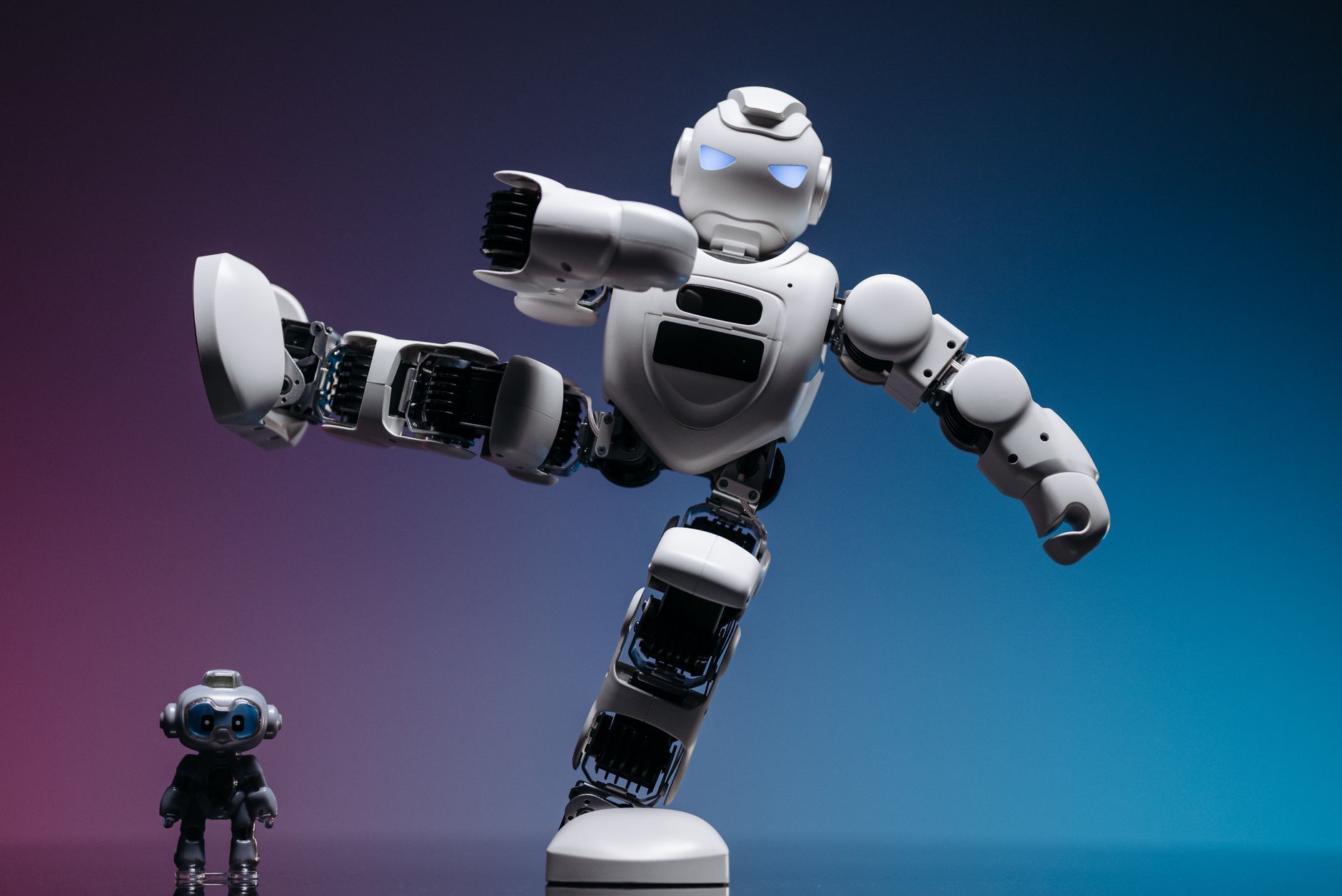 Branded Humanoid Robot