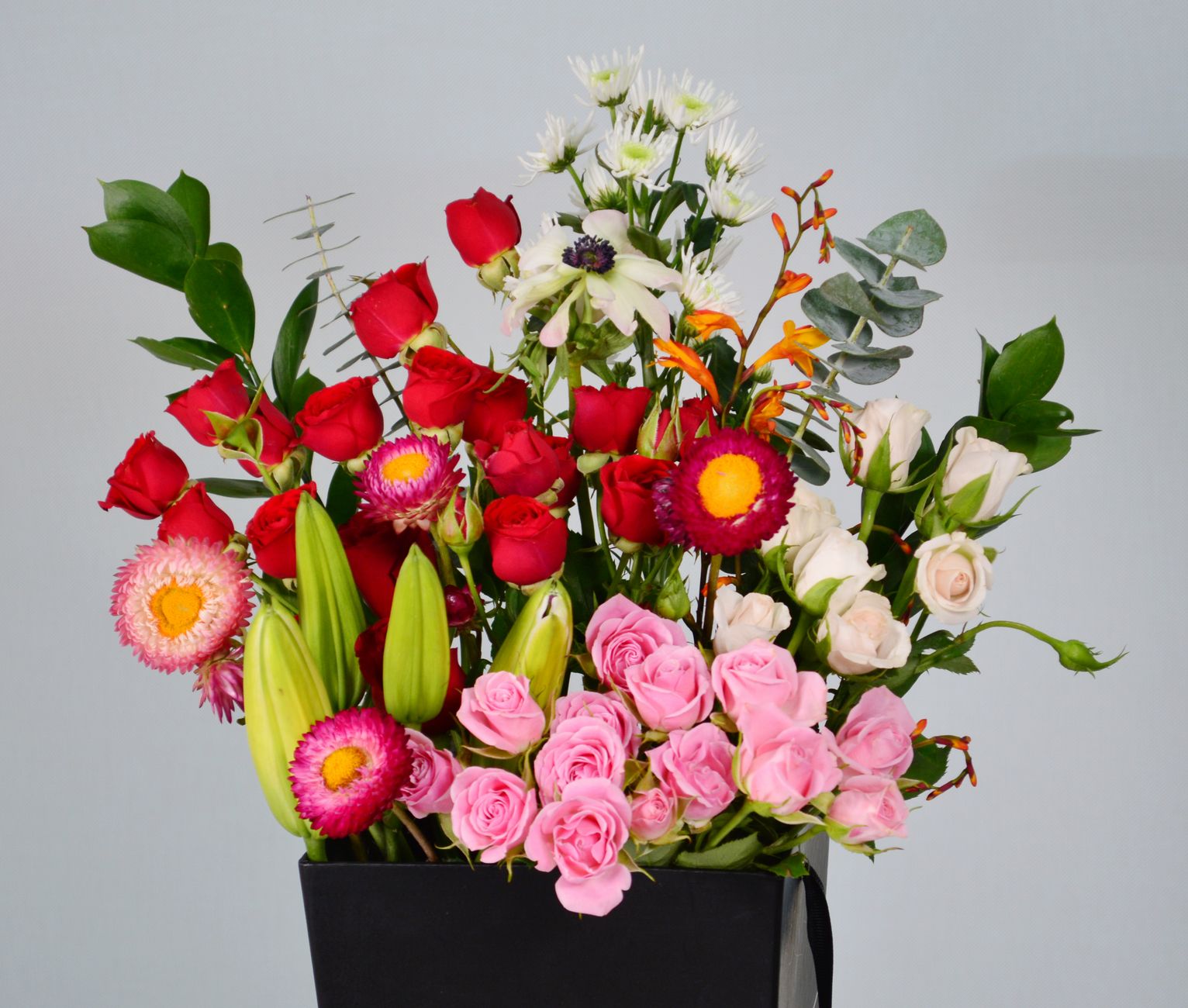 Plant Birthday Gifts