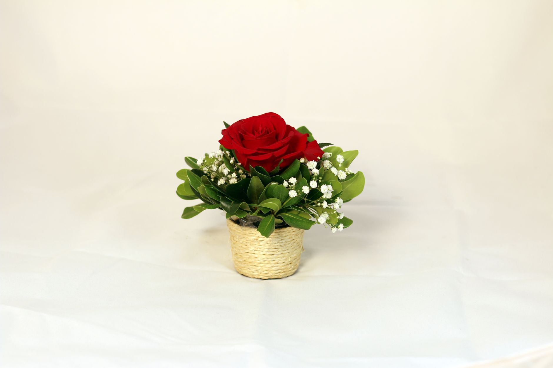 Branded Plant Gifts