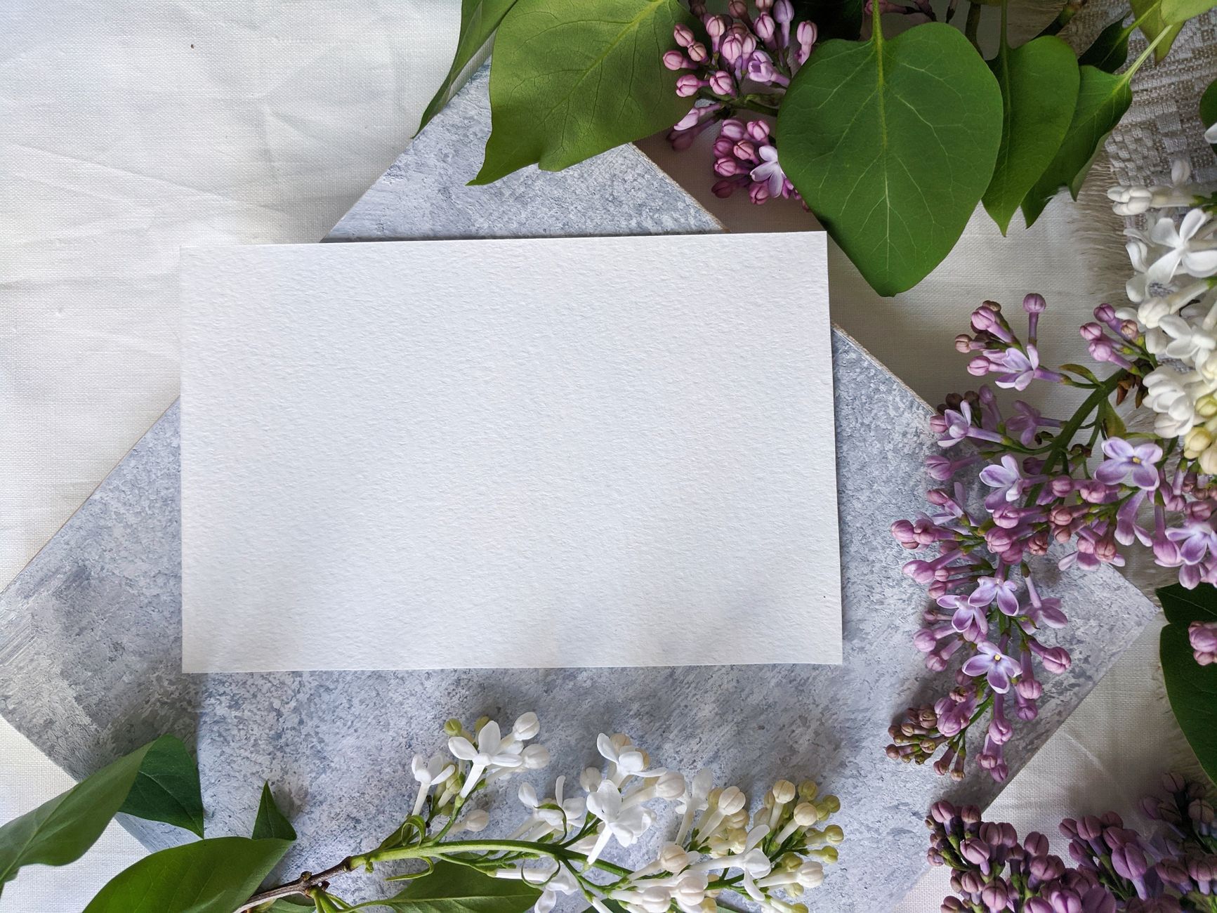 Eco Social Function Invitations