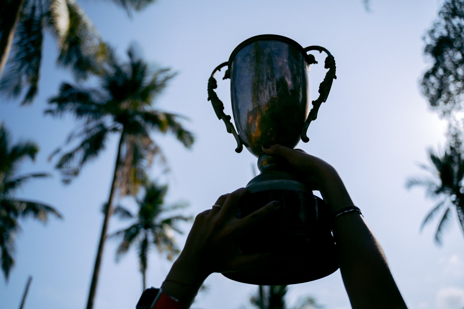 Trophy Gifts That Celebrate Excellence