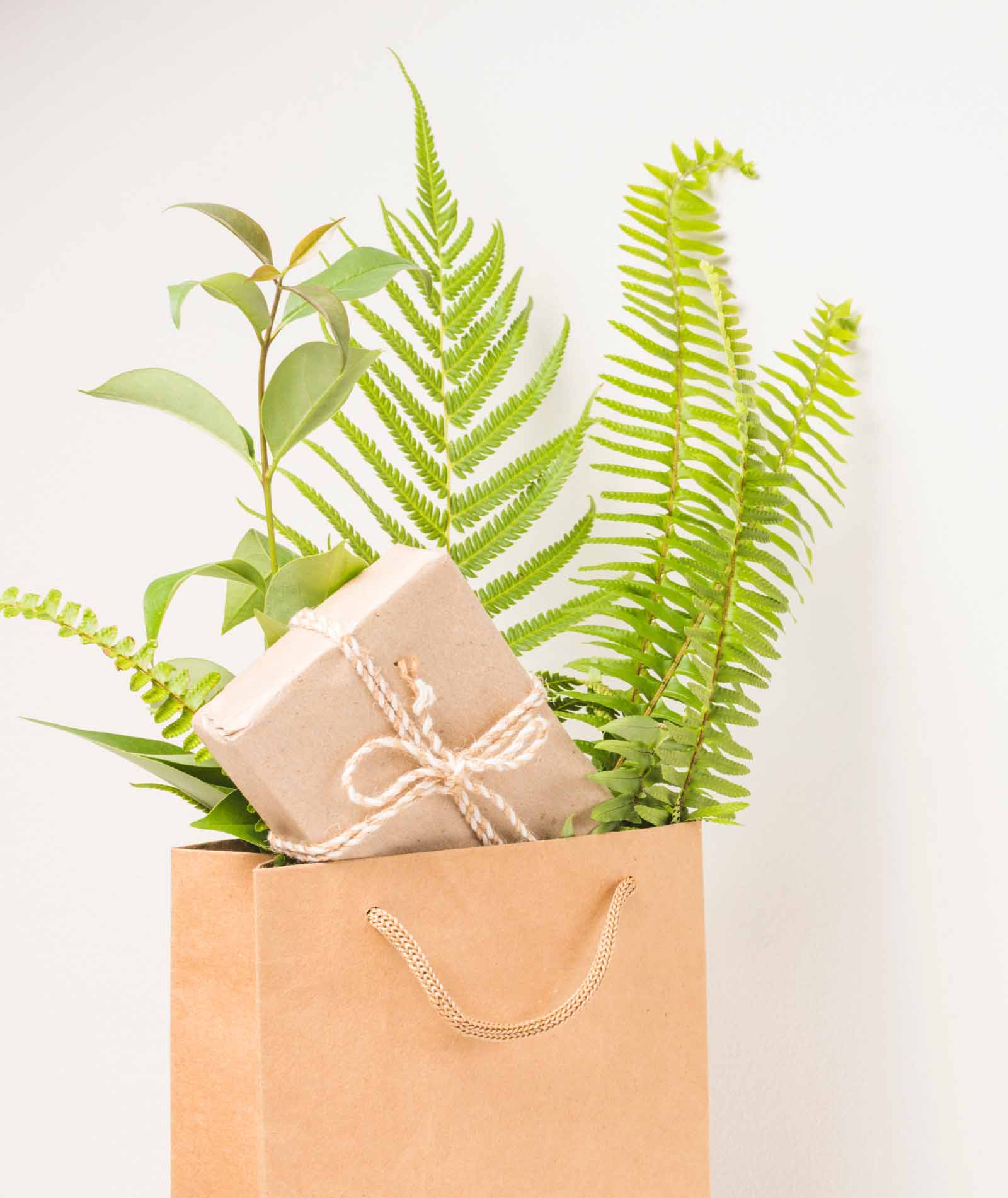 Eco-Friendly Return Gifts