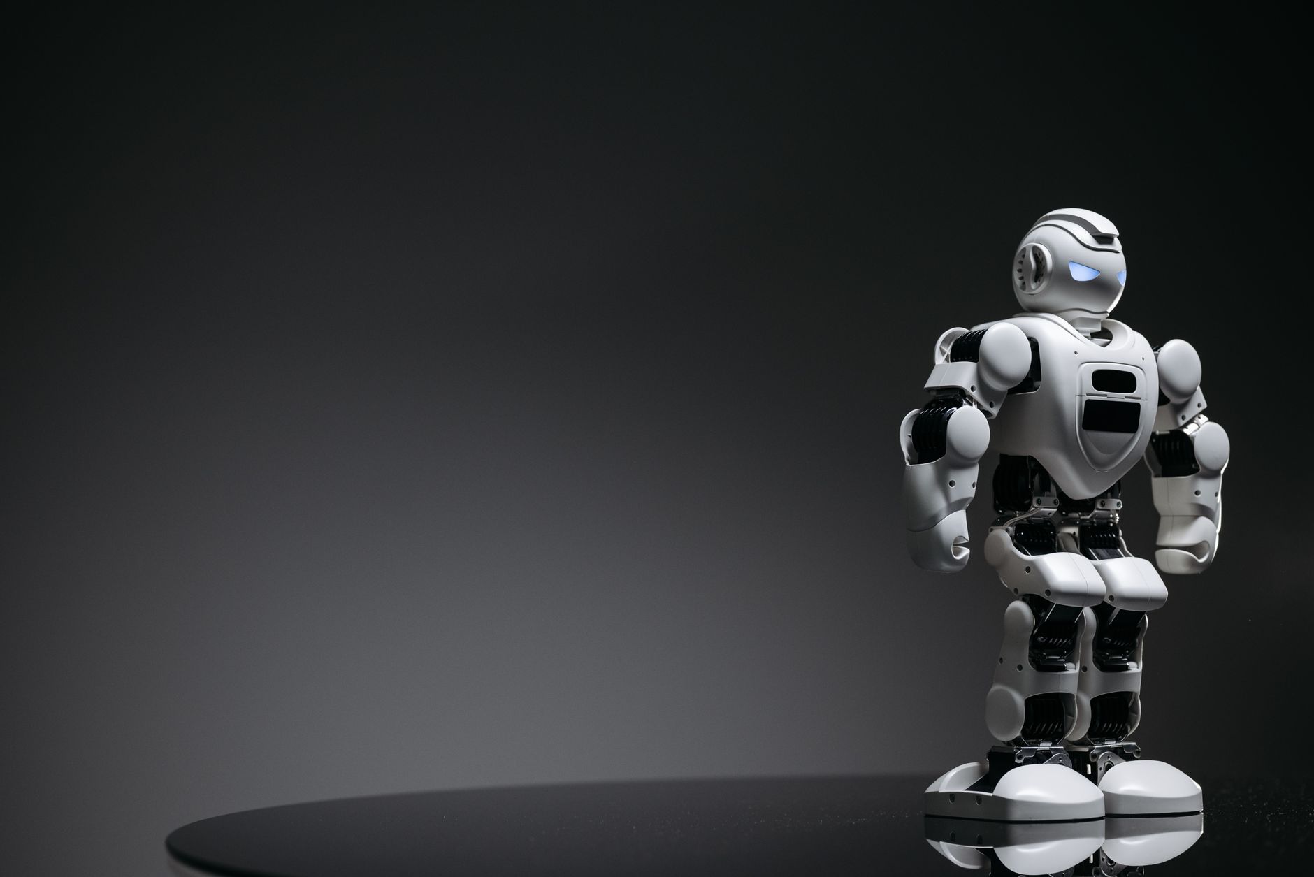 Entertainment Humanoid Robot