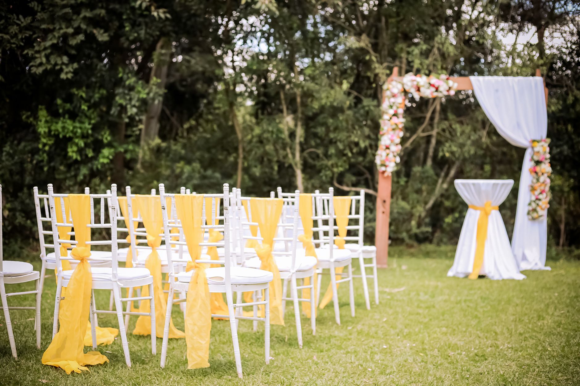 Marriage Function Designer Chairs
