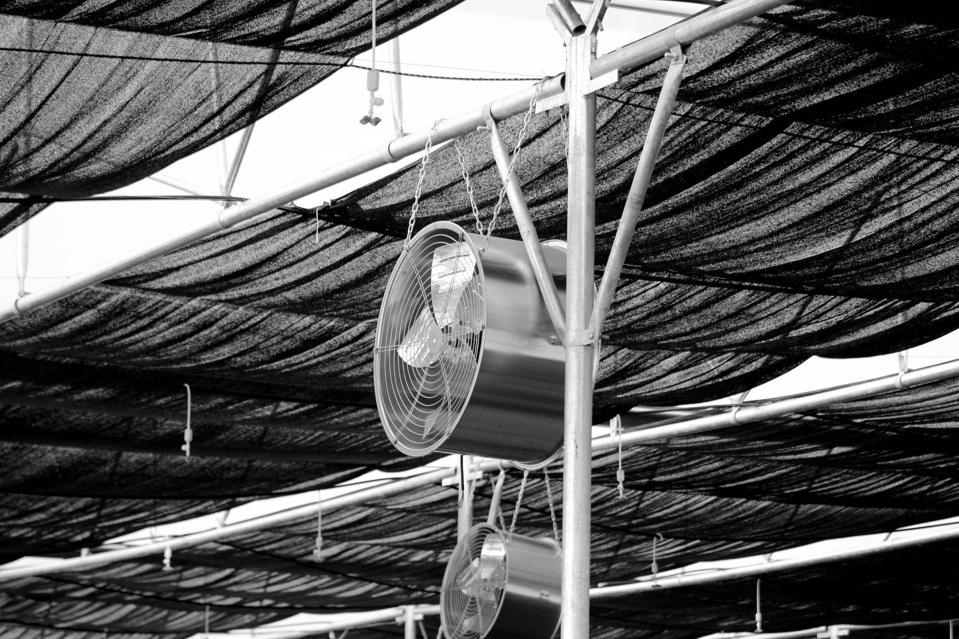 Beat the Heat at Every Event