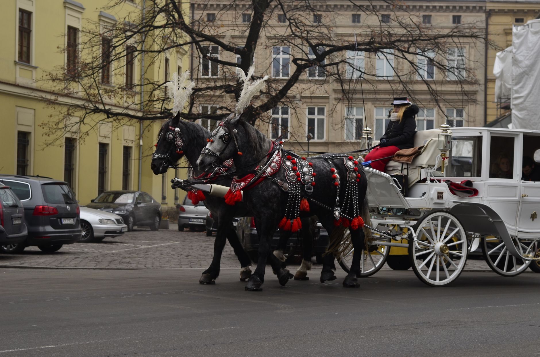 Vintage Horse Carriage