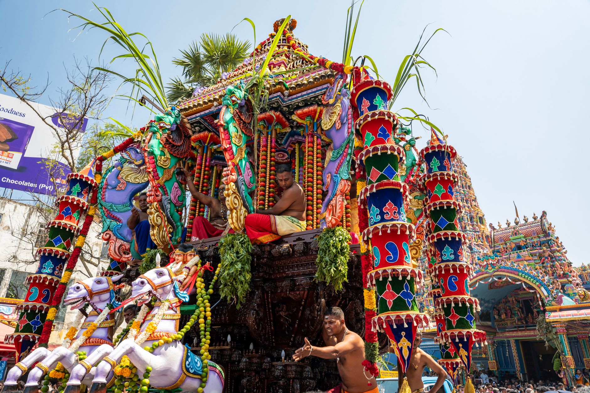 Baraat Horse Chariot