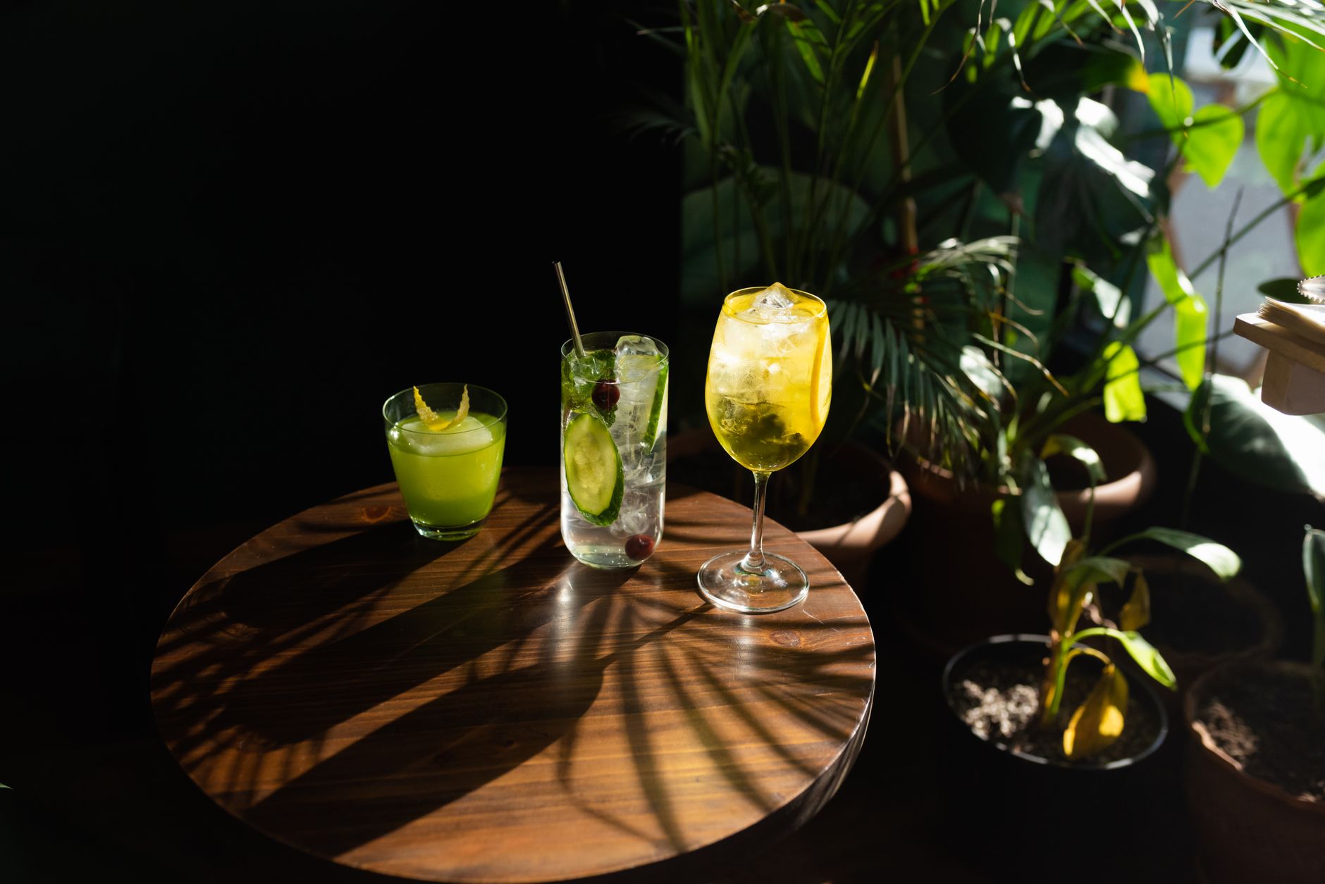 Botanical Cocktail Services