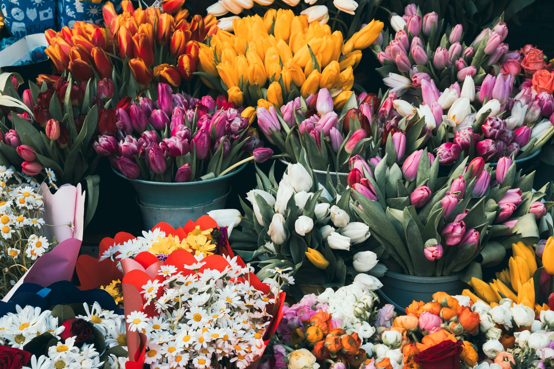 Sacred Tulip Bouquets for Every Ritual