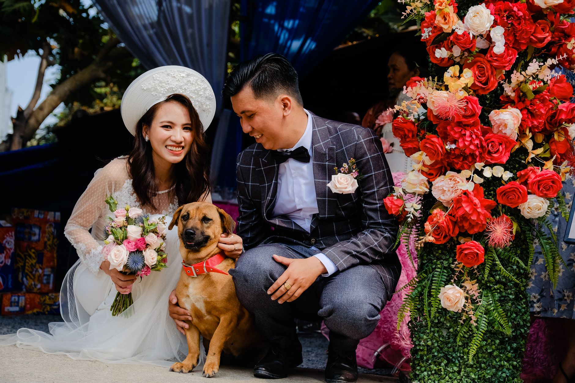 Keep Your Pets Happy on Your Wedding Day