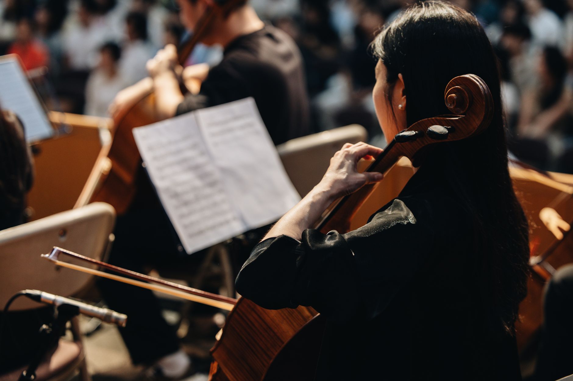 Live Orchestra Magic in Chennai