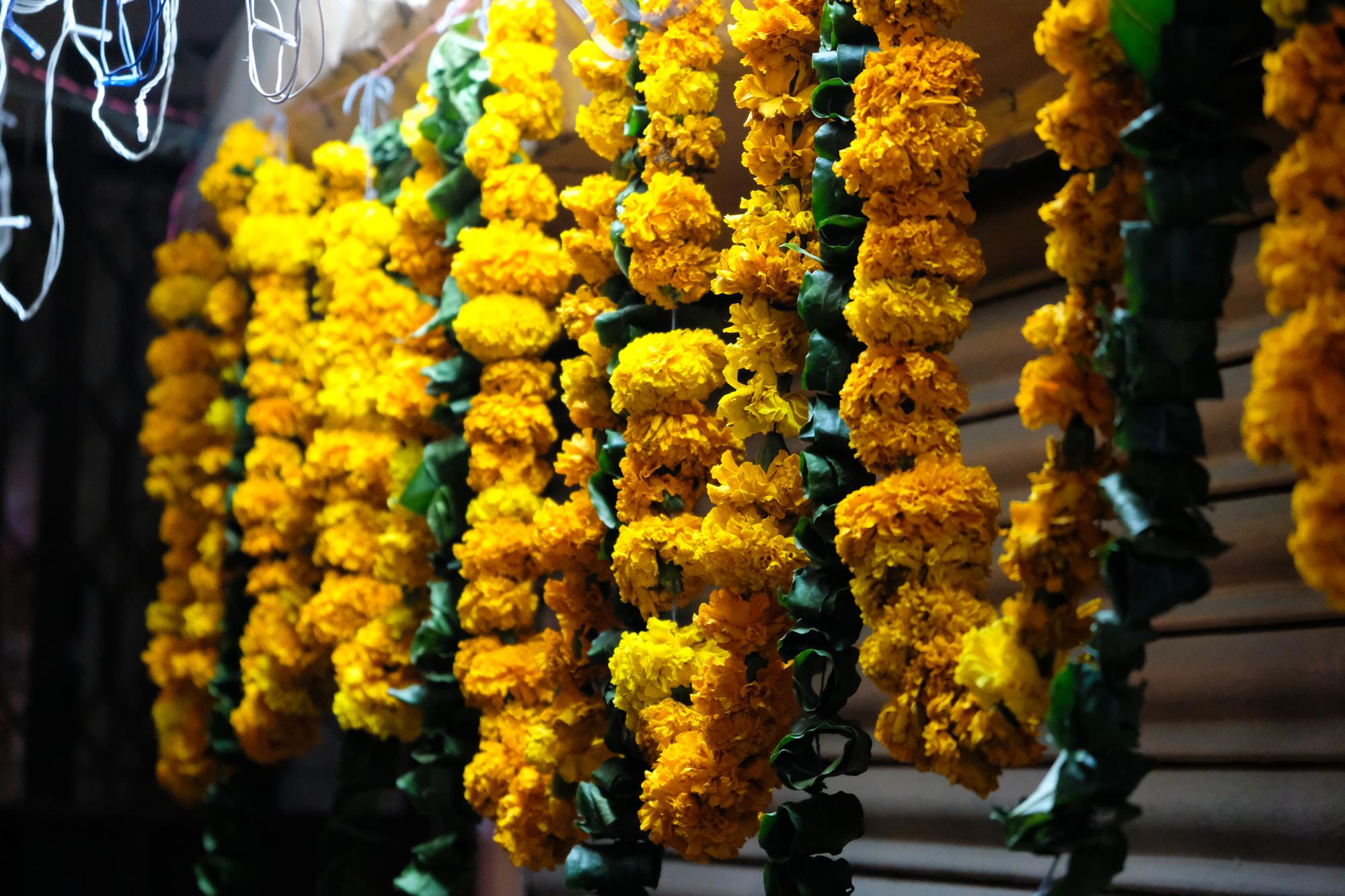 What this service includes in chennai — chennai