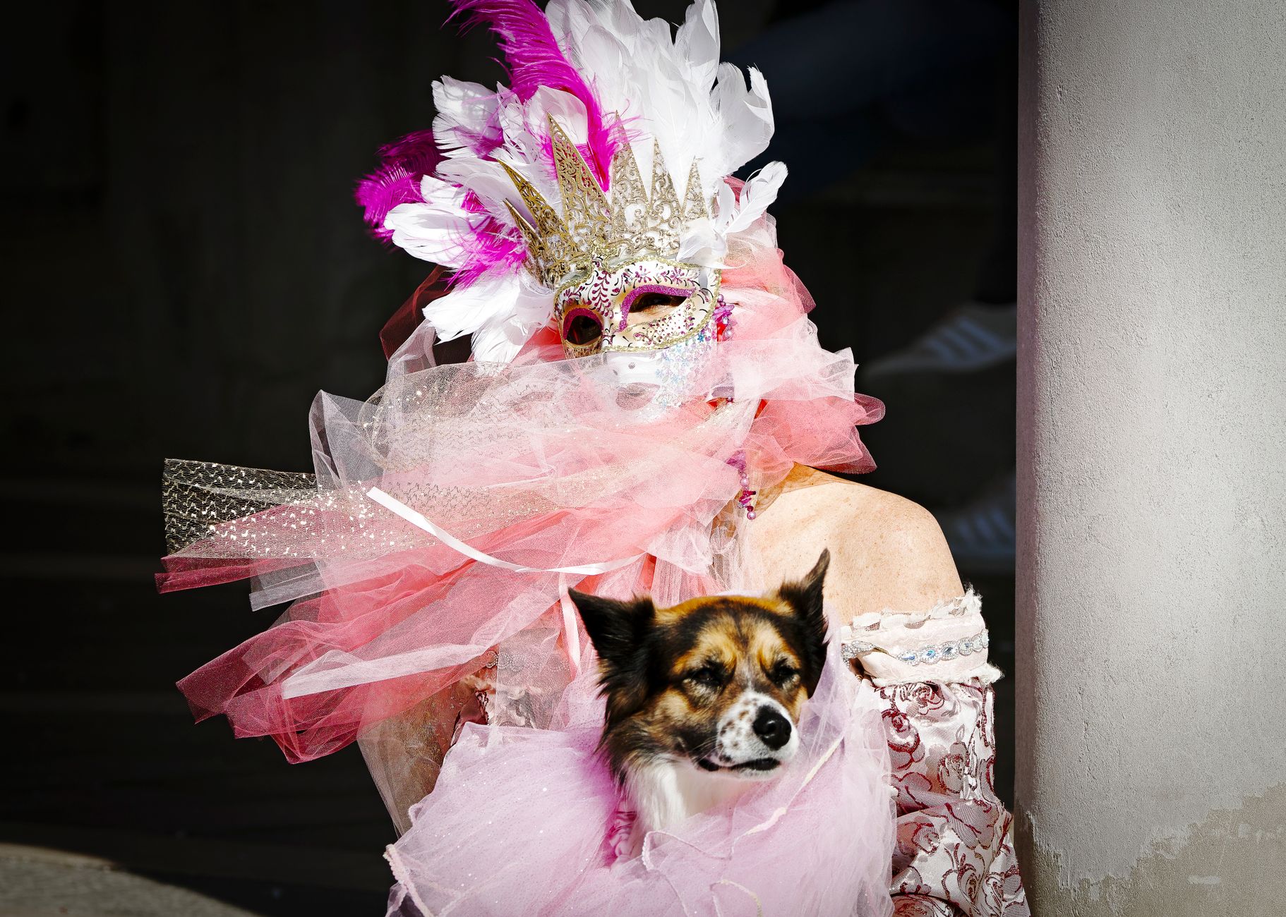 Pet Fashion Redefined