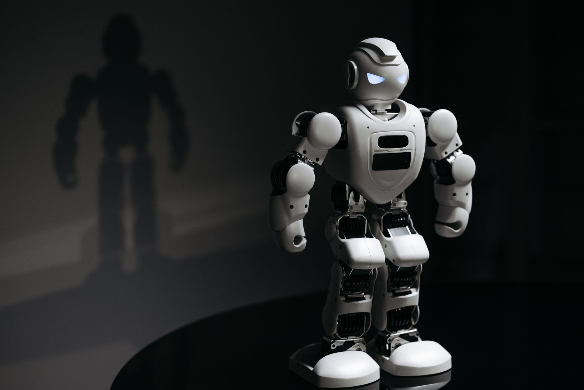 Robotic Entertainment for Your Celebration