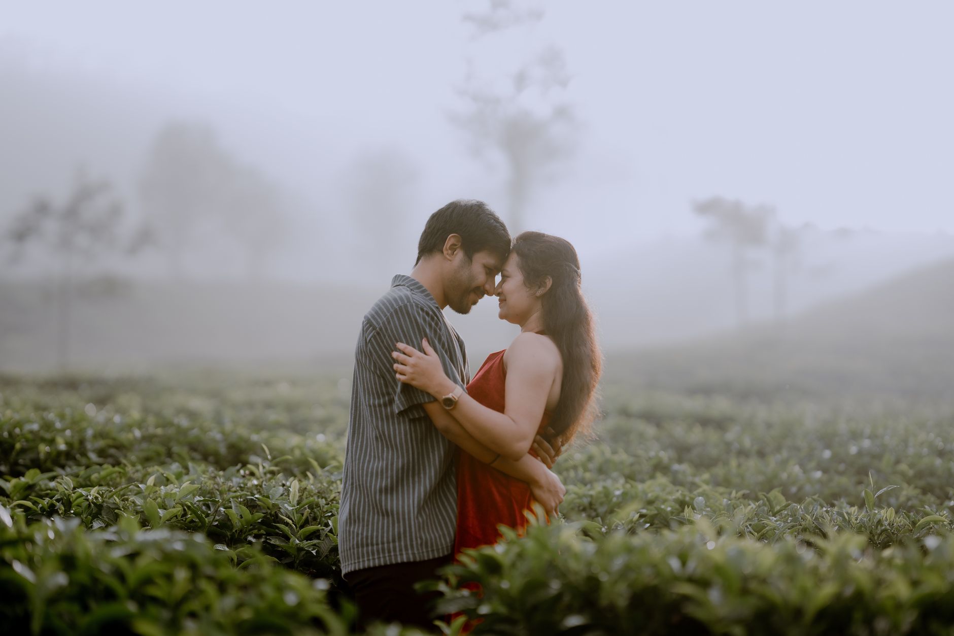 Dream Coorg Honeymoon, Any Budget