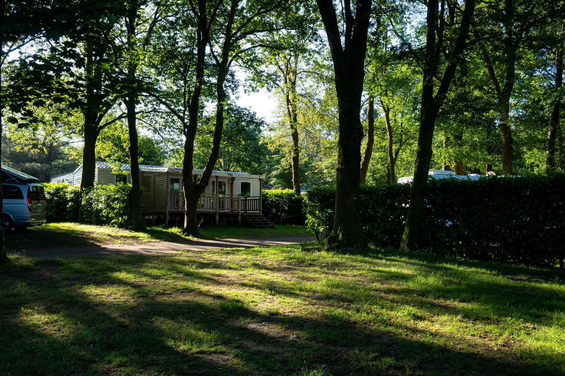Artist Caravans for Coorg Events