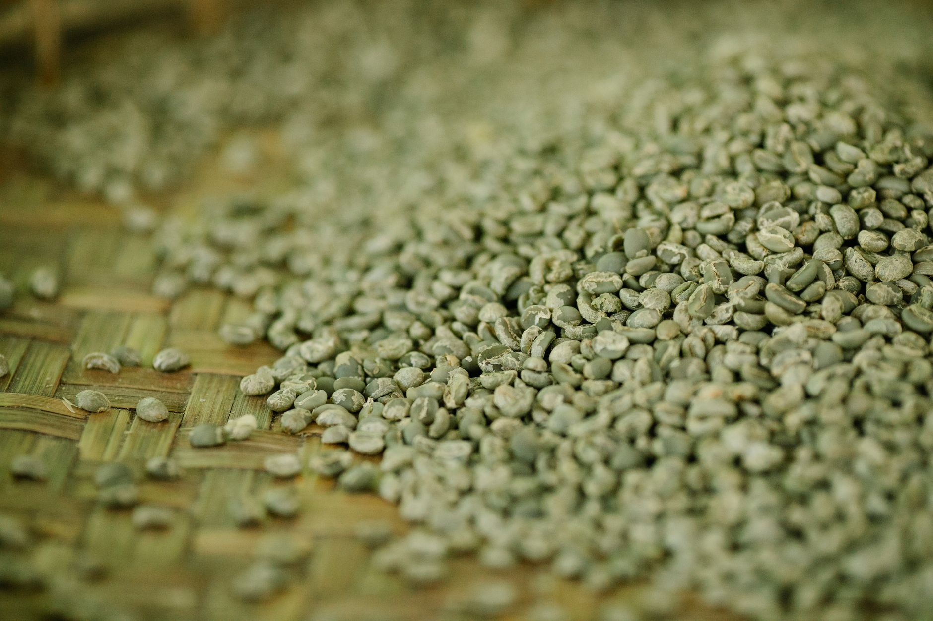 Product Photography in Coorg