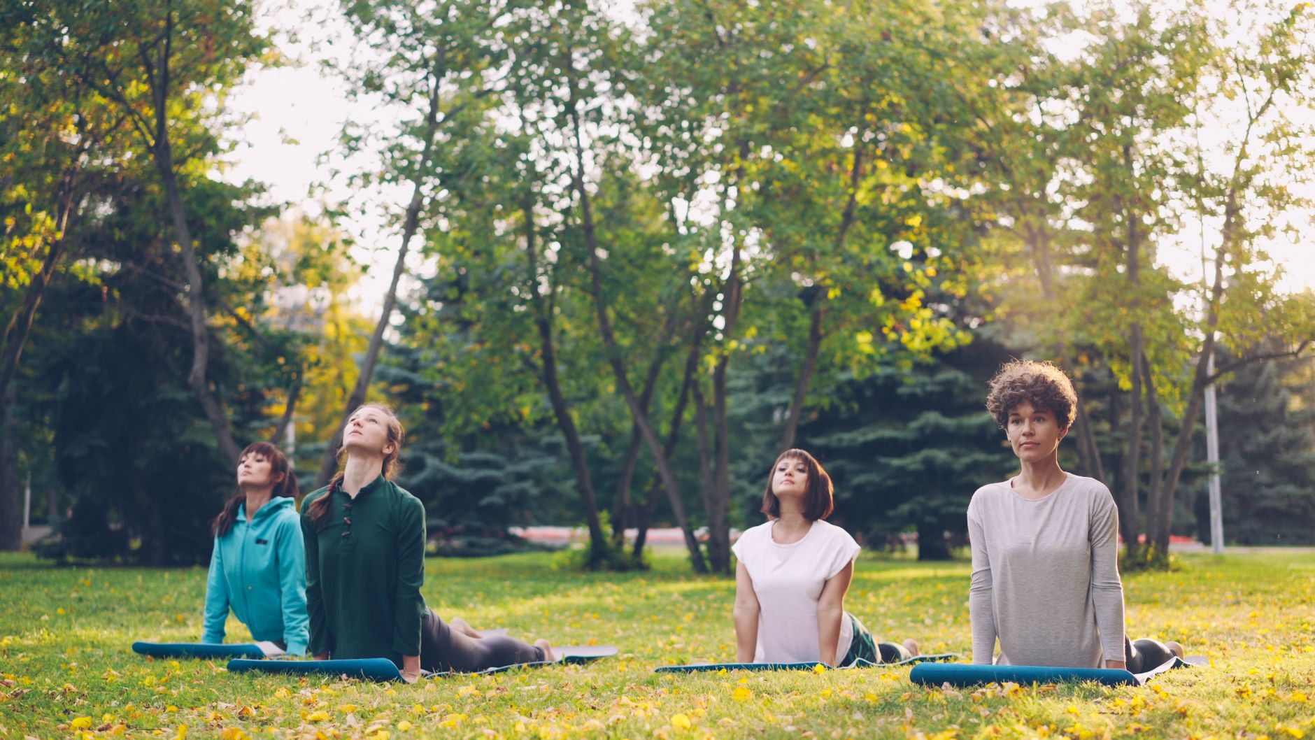 Hatha Yoga Instructor