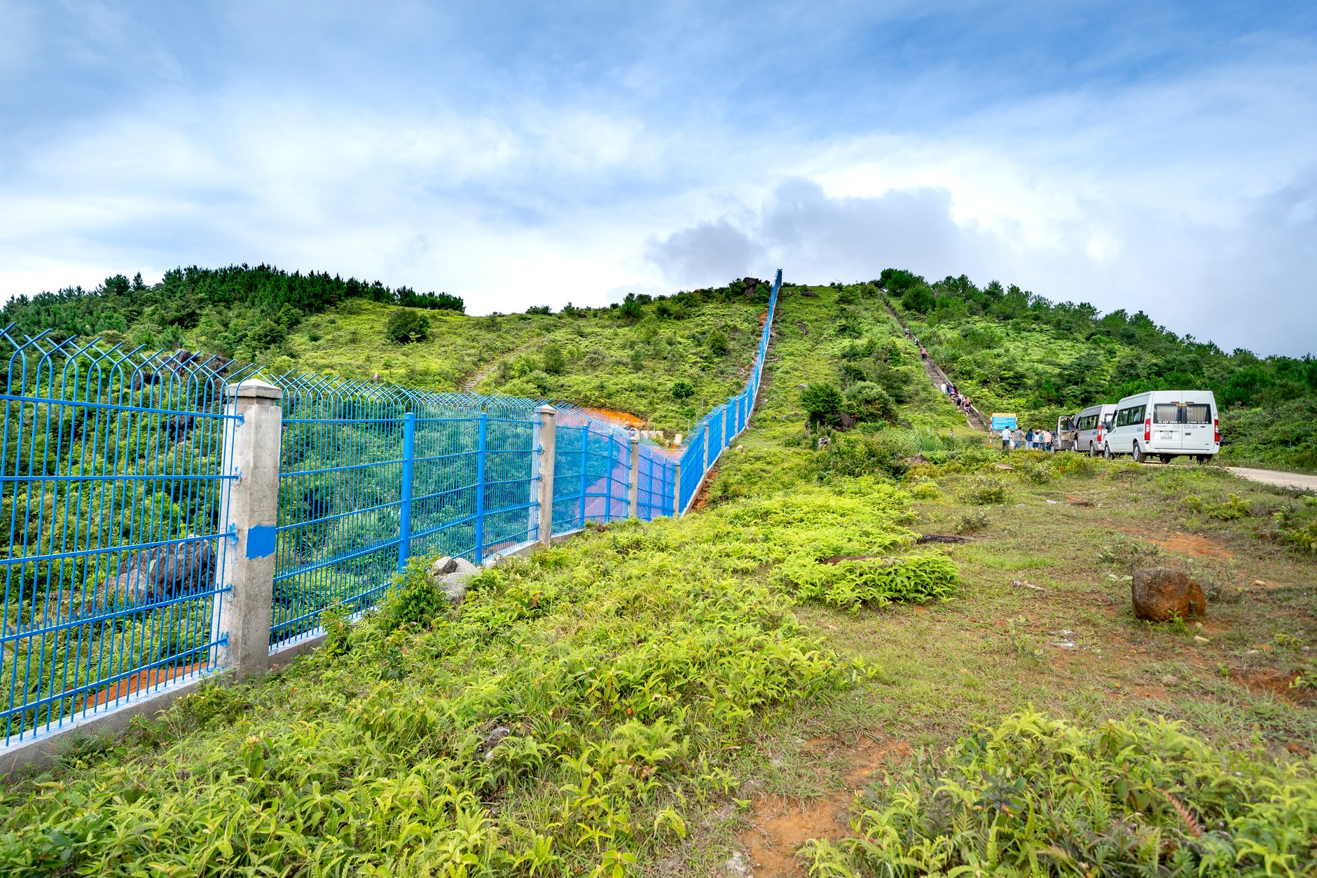 Seamless Guest Transfers in Coorg