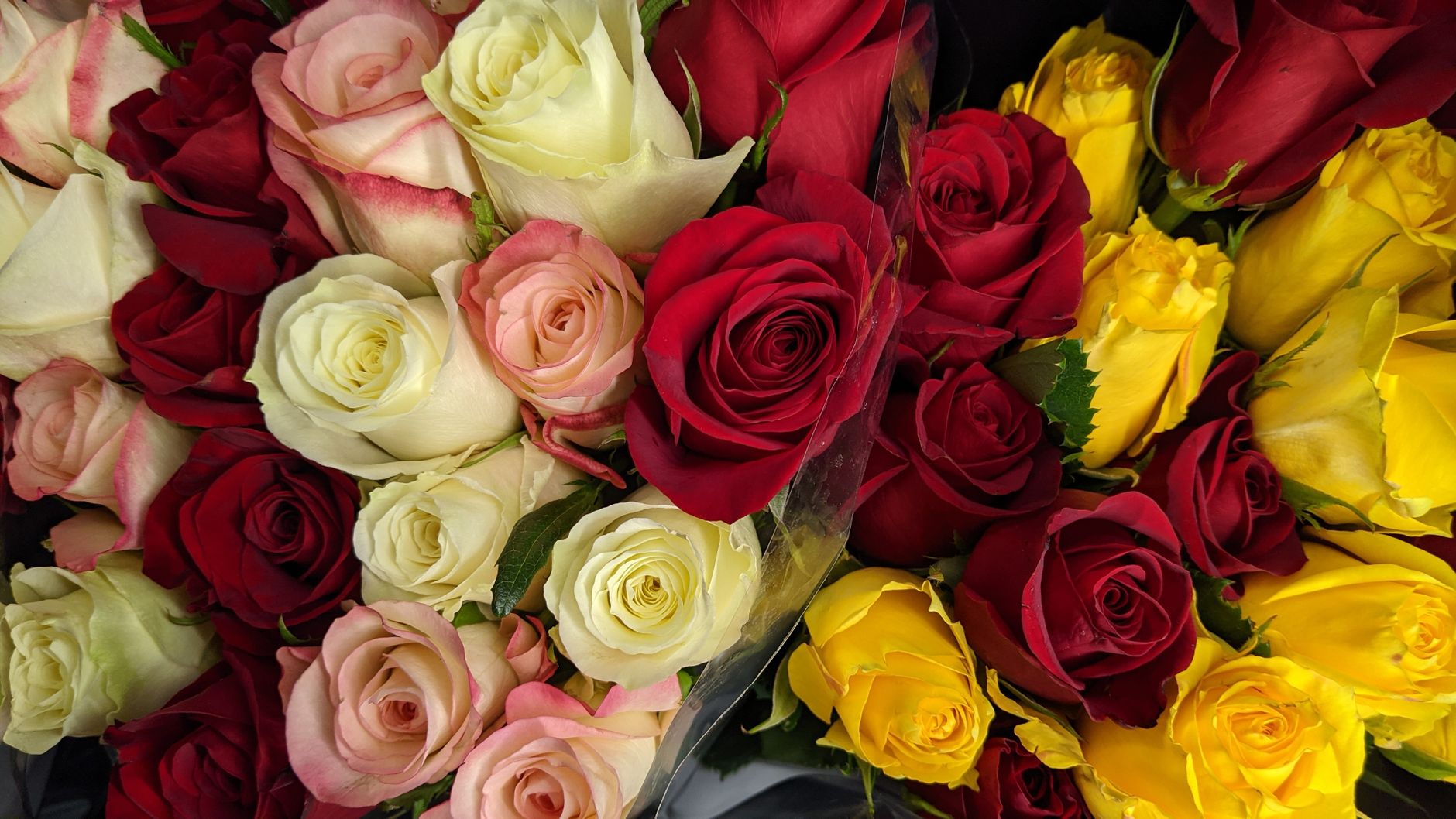 Rose Flower Bouquets