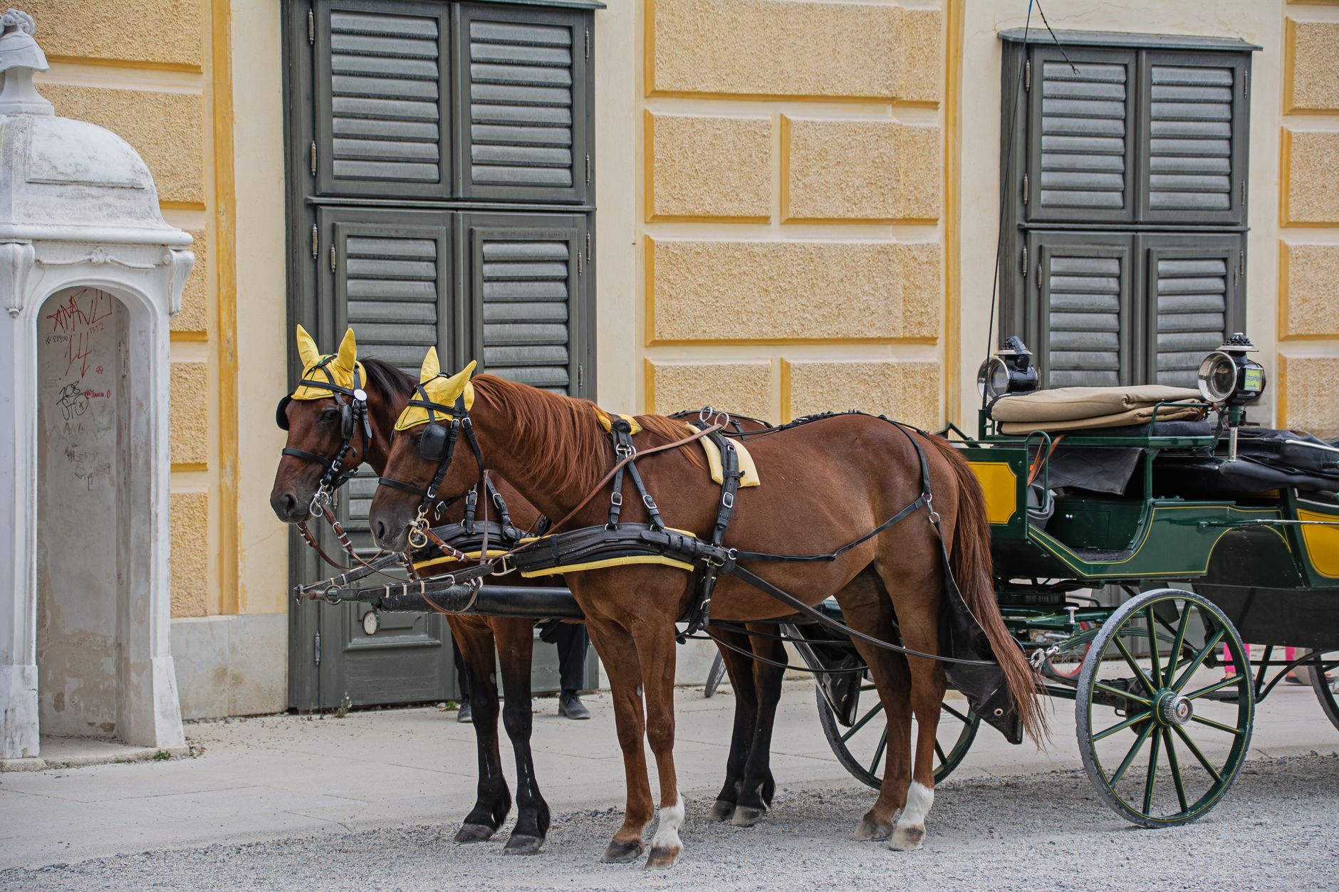 Royal Horse Carriage