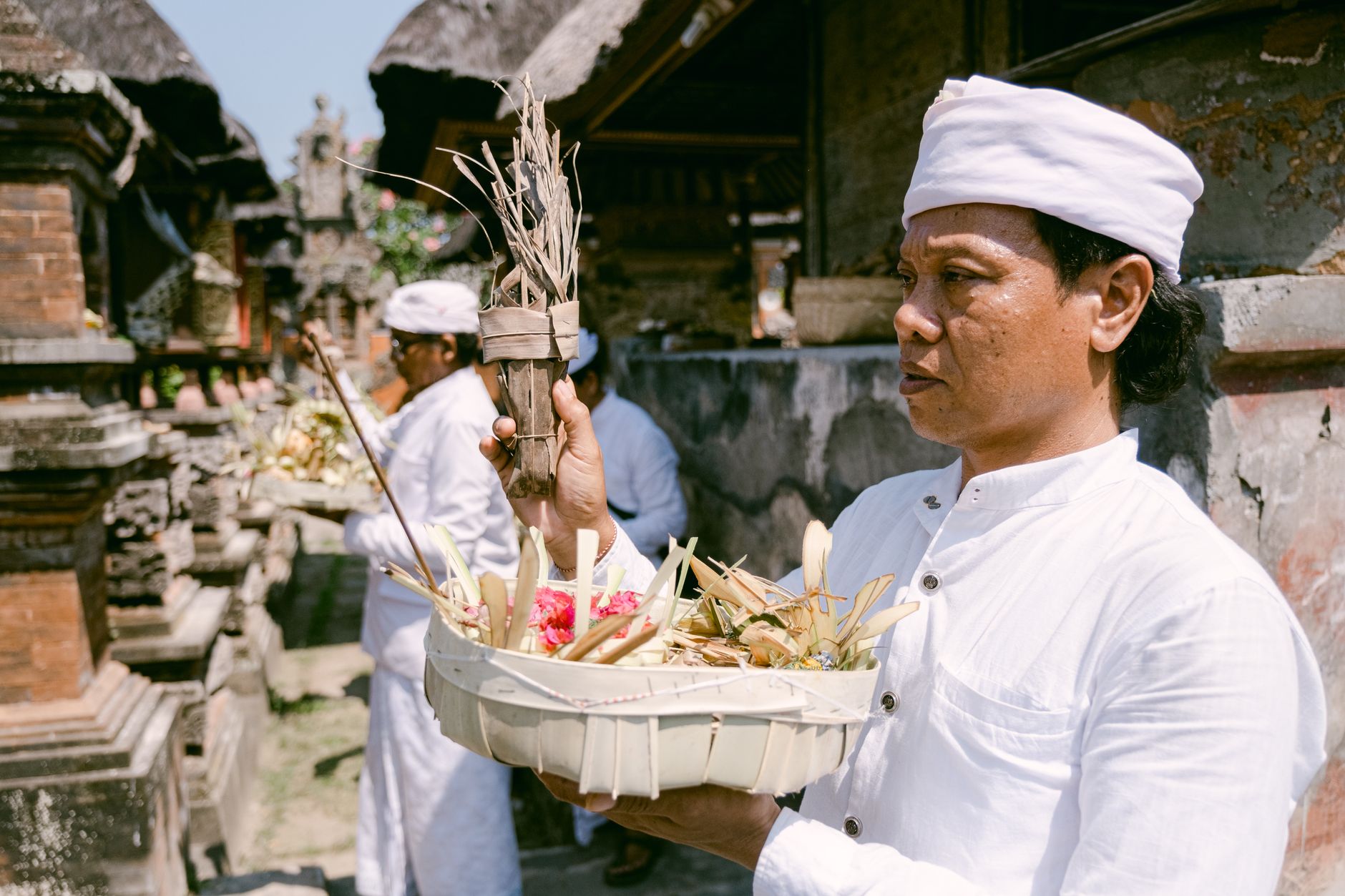 Sacred Blooms for Every Ritual