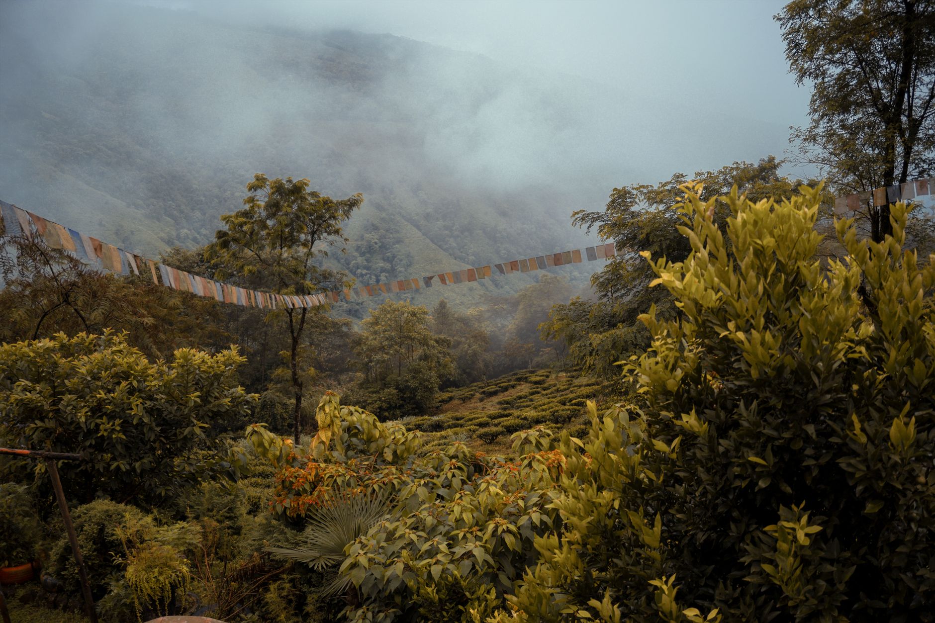 Top Corporate Function Planners in Darjeeling