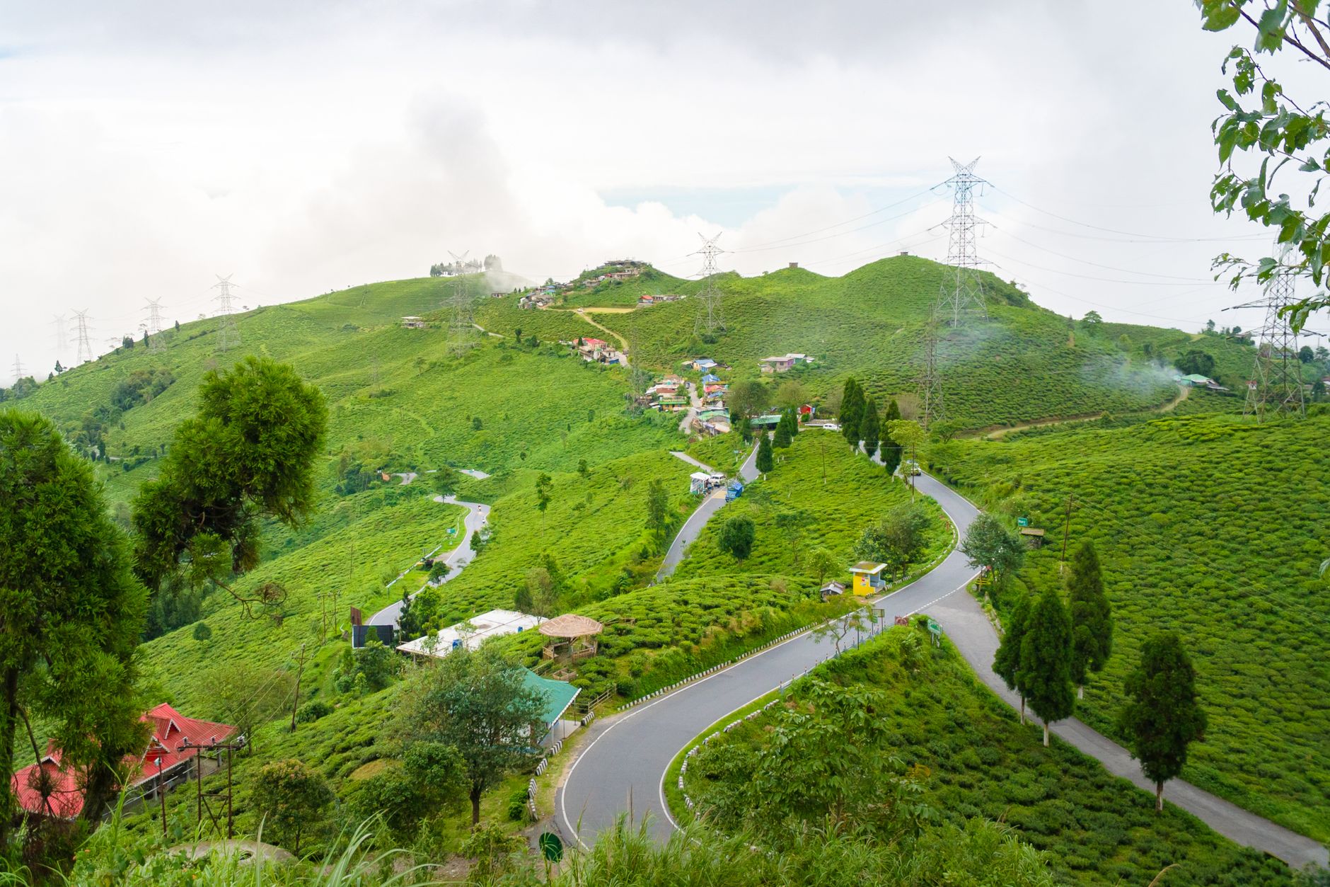 Celebrate Amid Darjeeling's Majestic Peaks