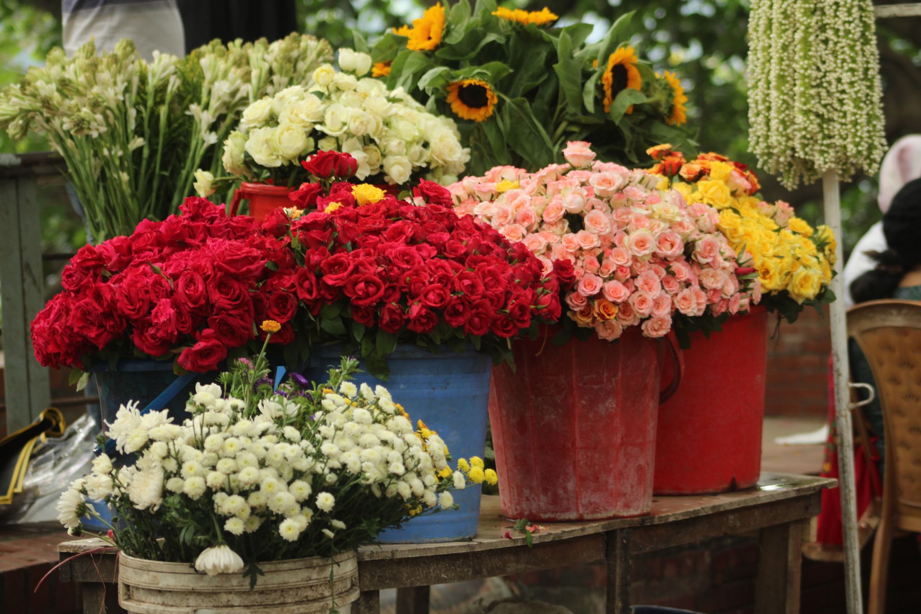 Darjeeling's Finest Fresh Flower Bouquets