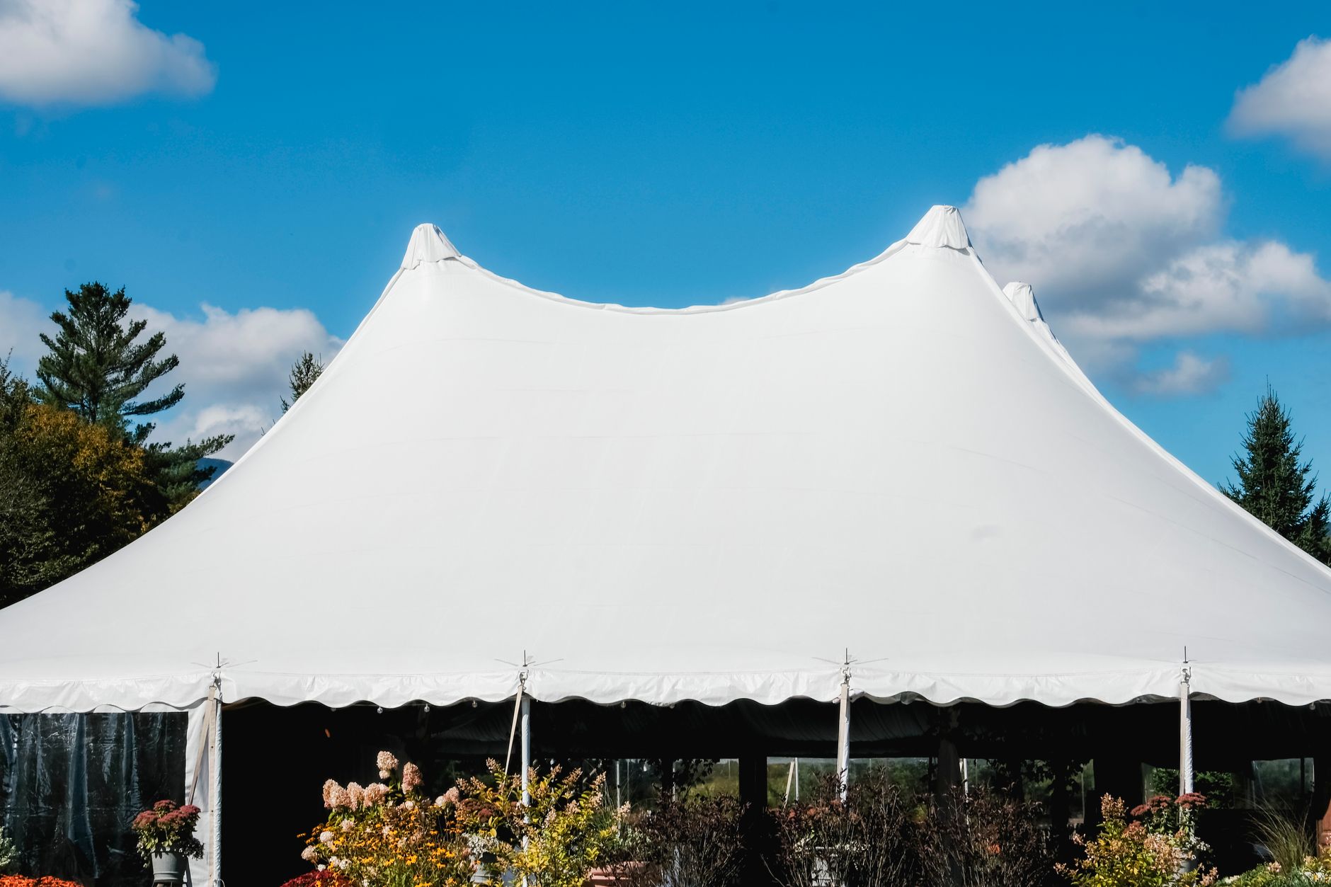 Darjeeling's Finest German Tent Rentals