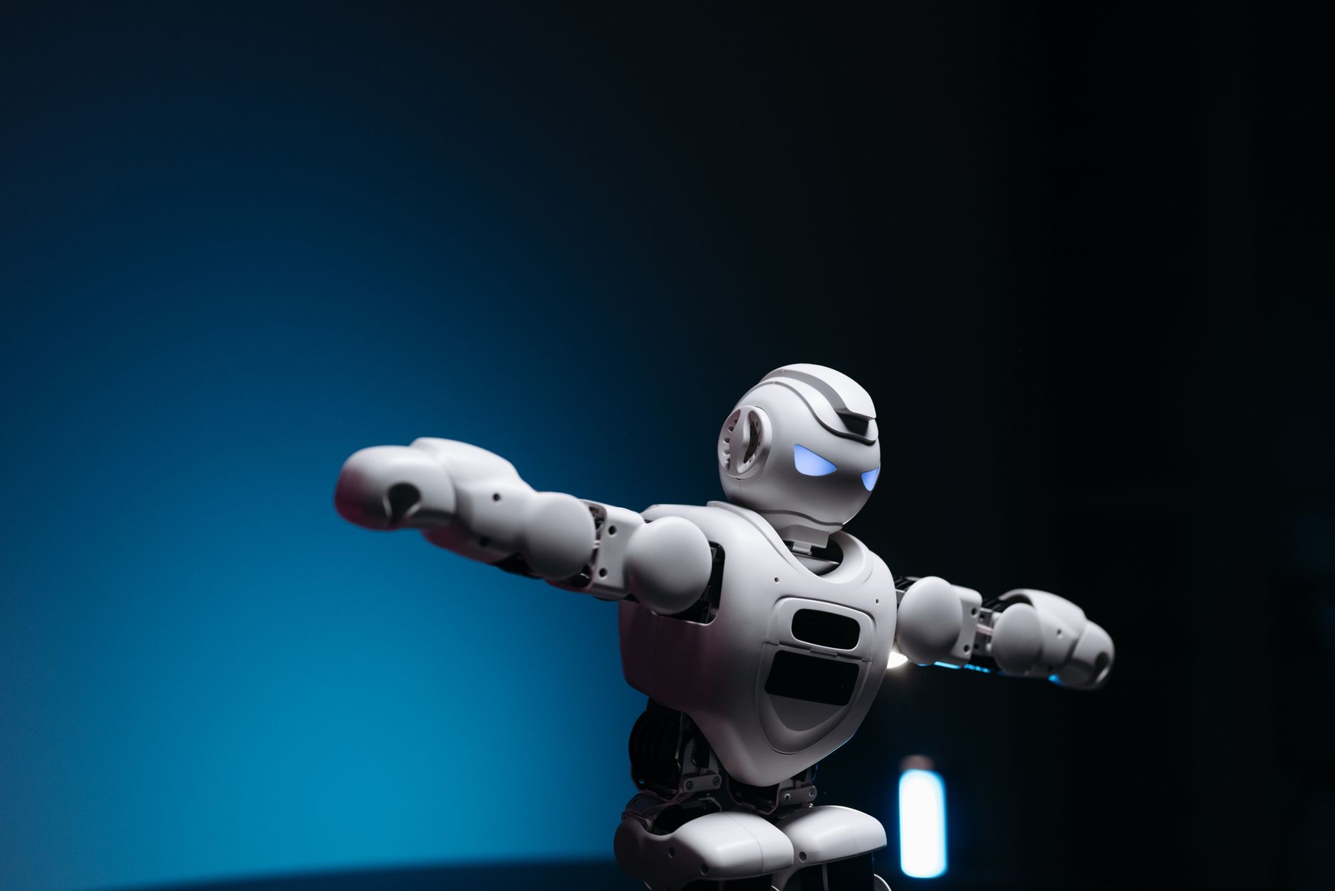 Humanoid Robot Service