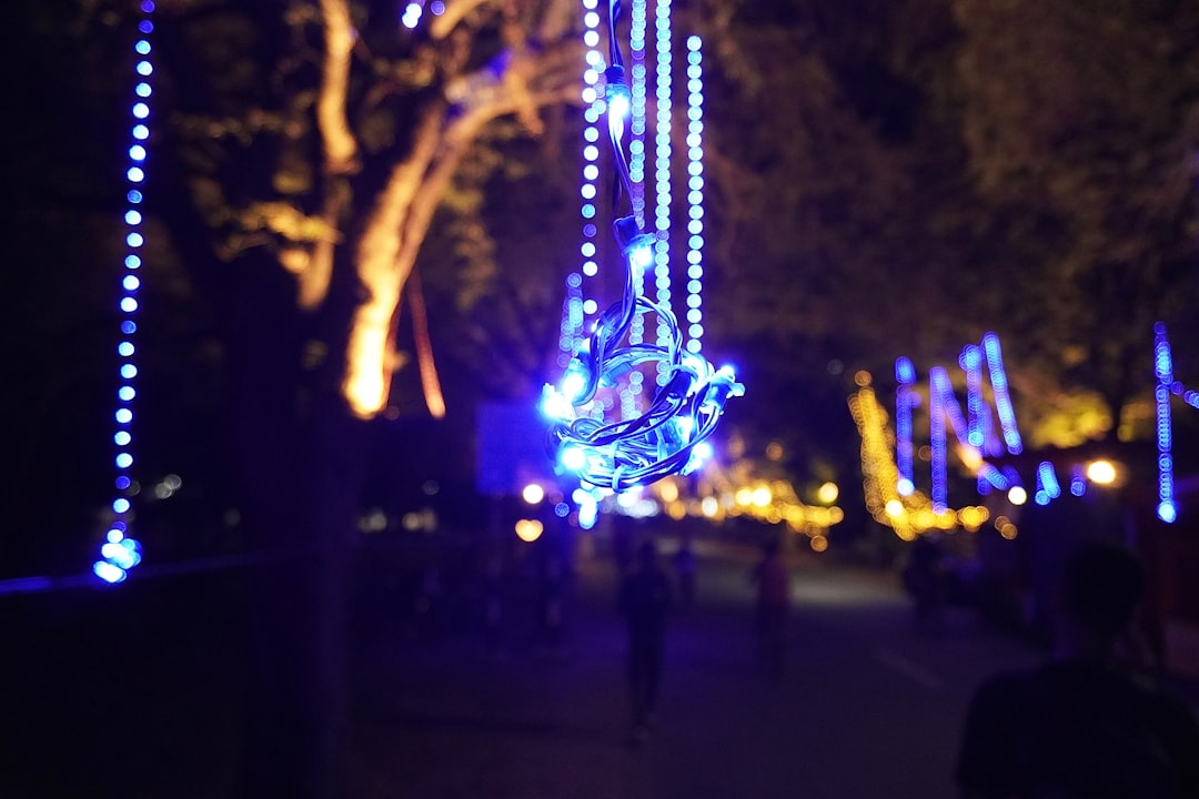 Decorative lighting Chennai wedding venue with warm fairy lights and floral canopy