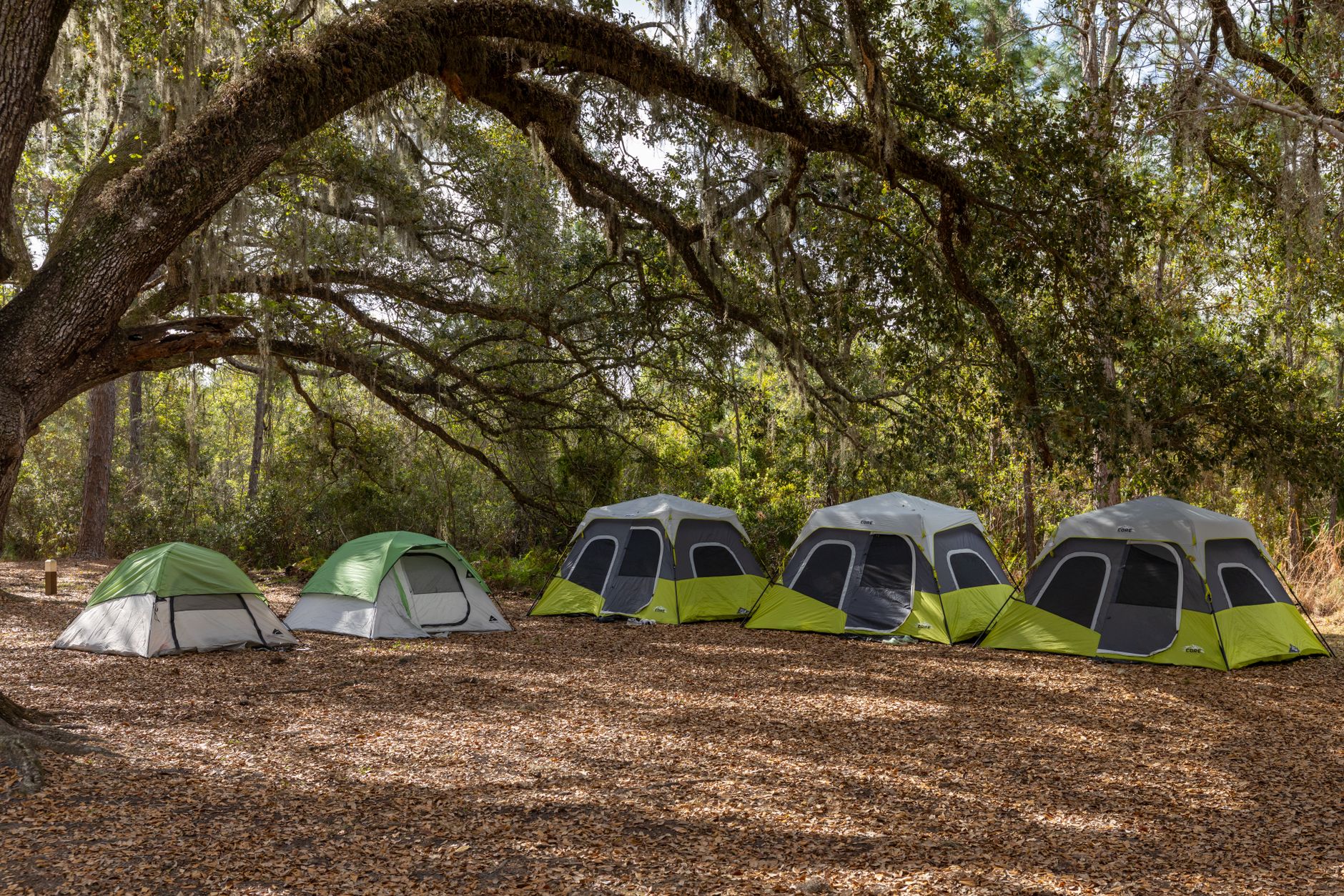 Corporate Retreats, Reimagined in Nature