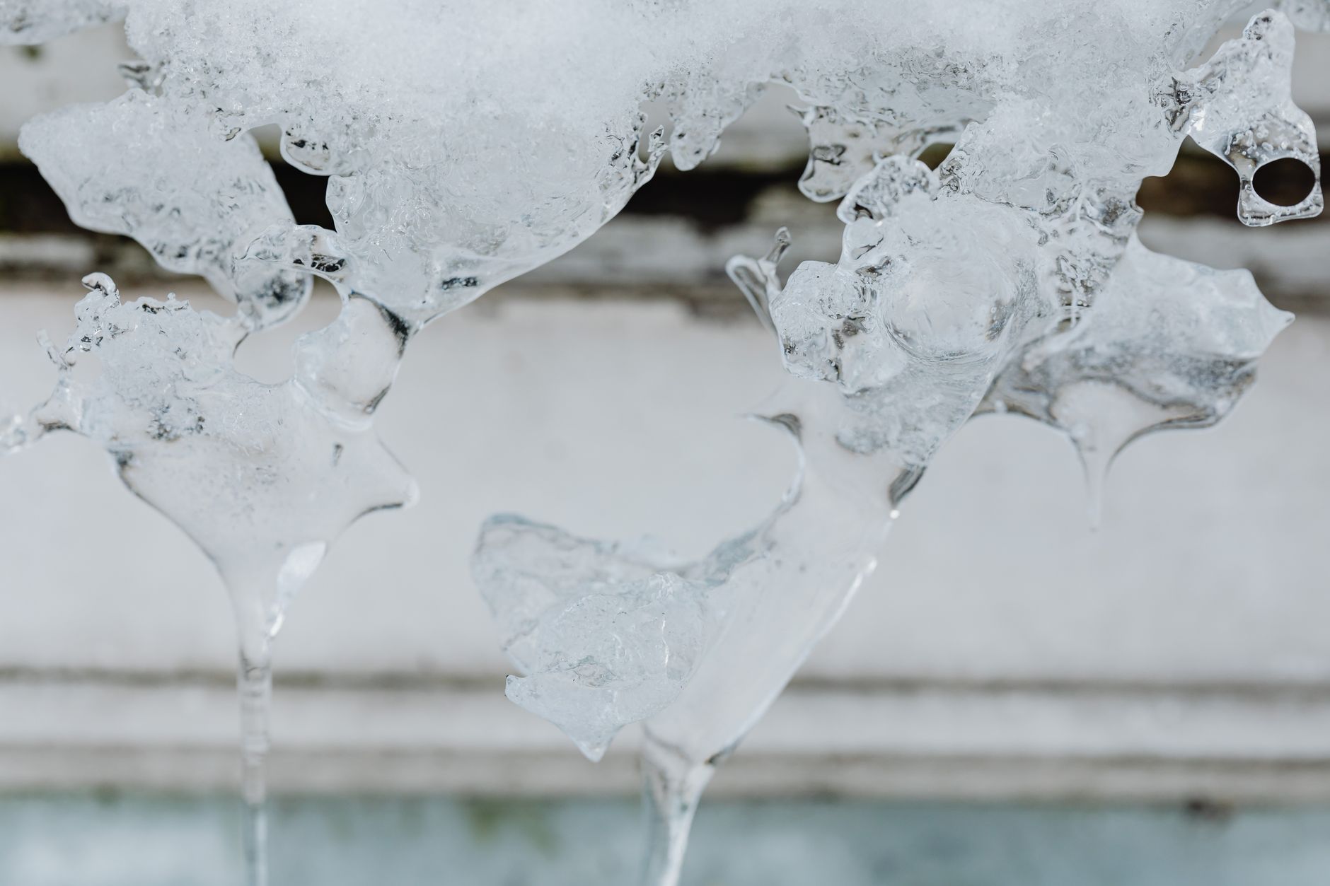 Custom Ice Centrepiece Carving