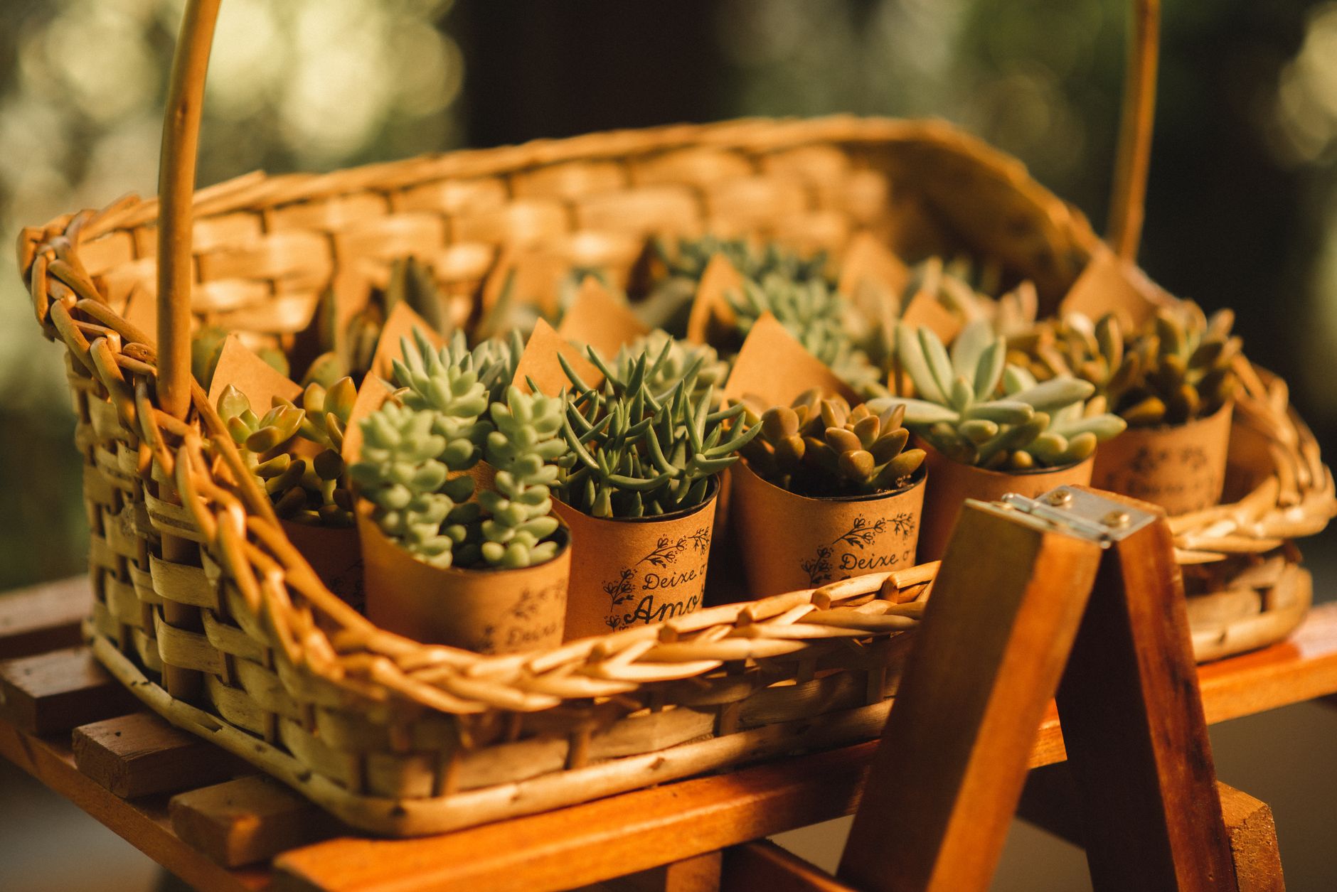 Eco Plant Gift Solutions