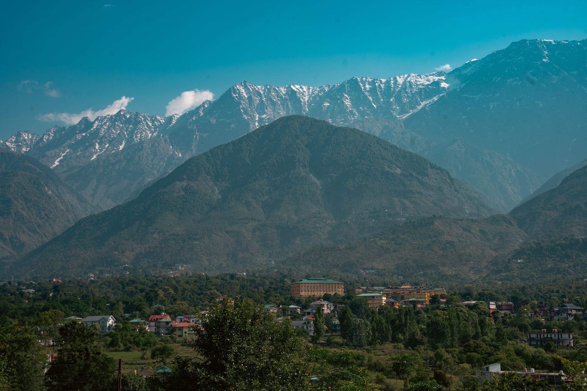 Elite Celebrity Security in Dharamshala