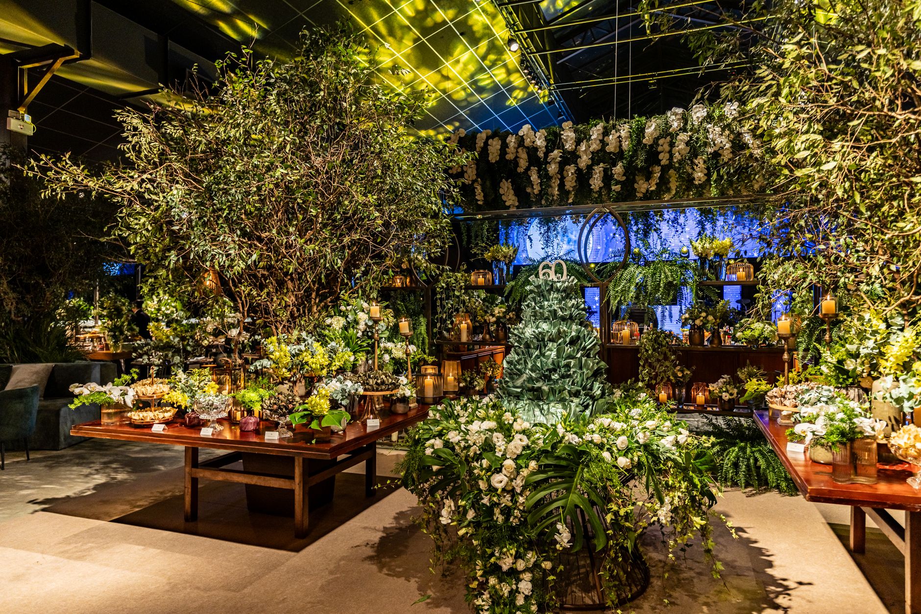 Green Business Decor, Dharamshala