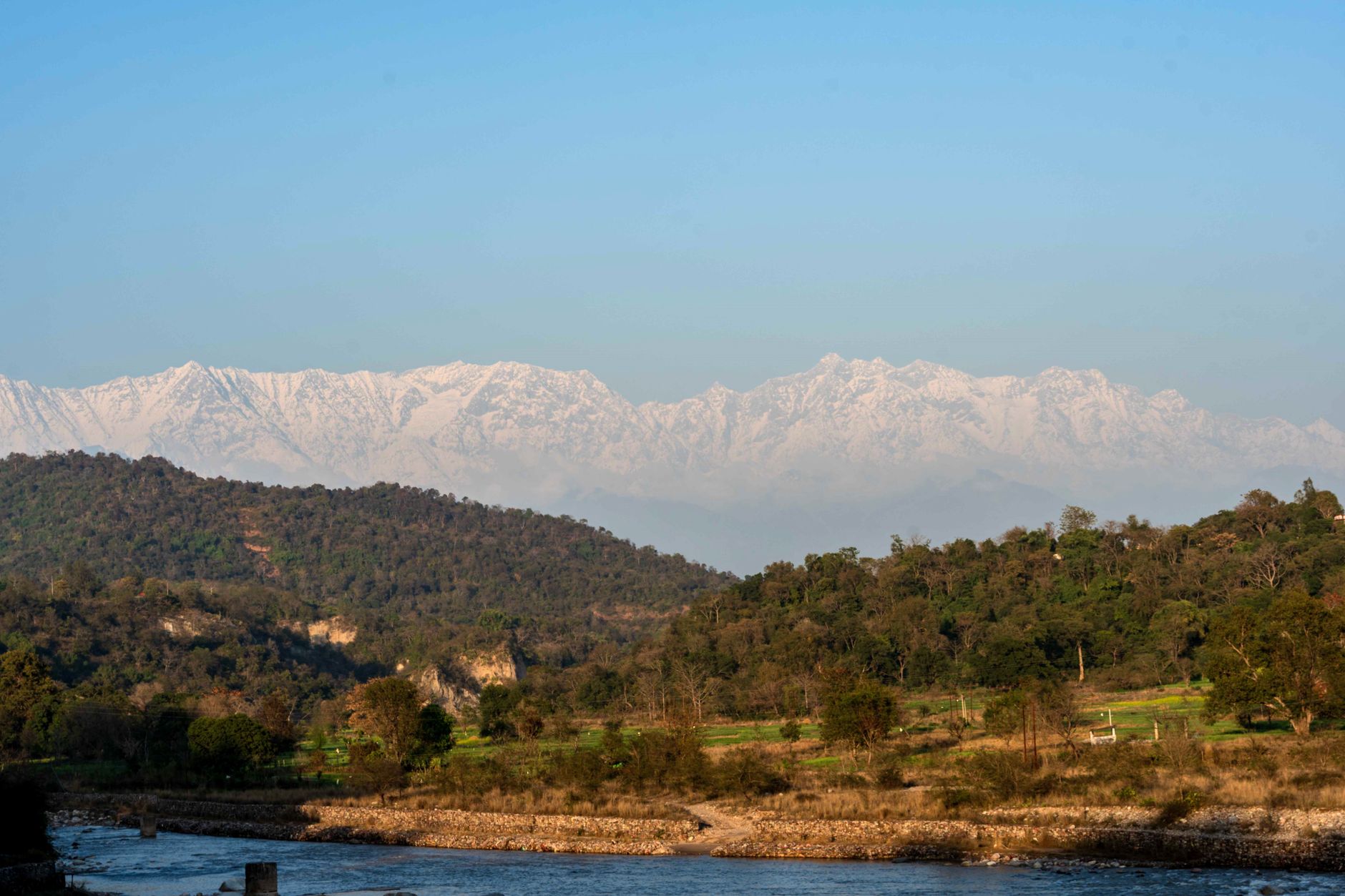 Seamless Wedding Transport in Dharamshala