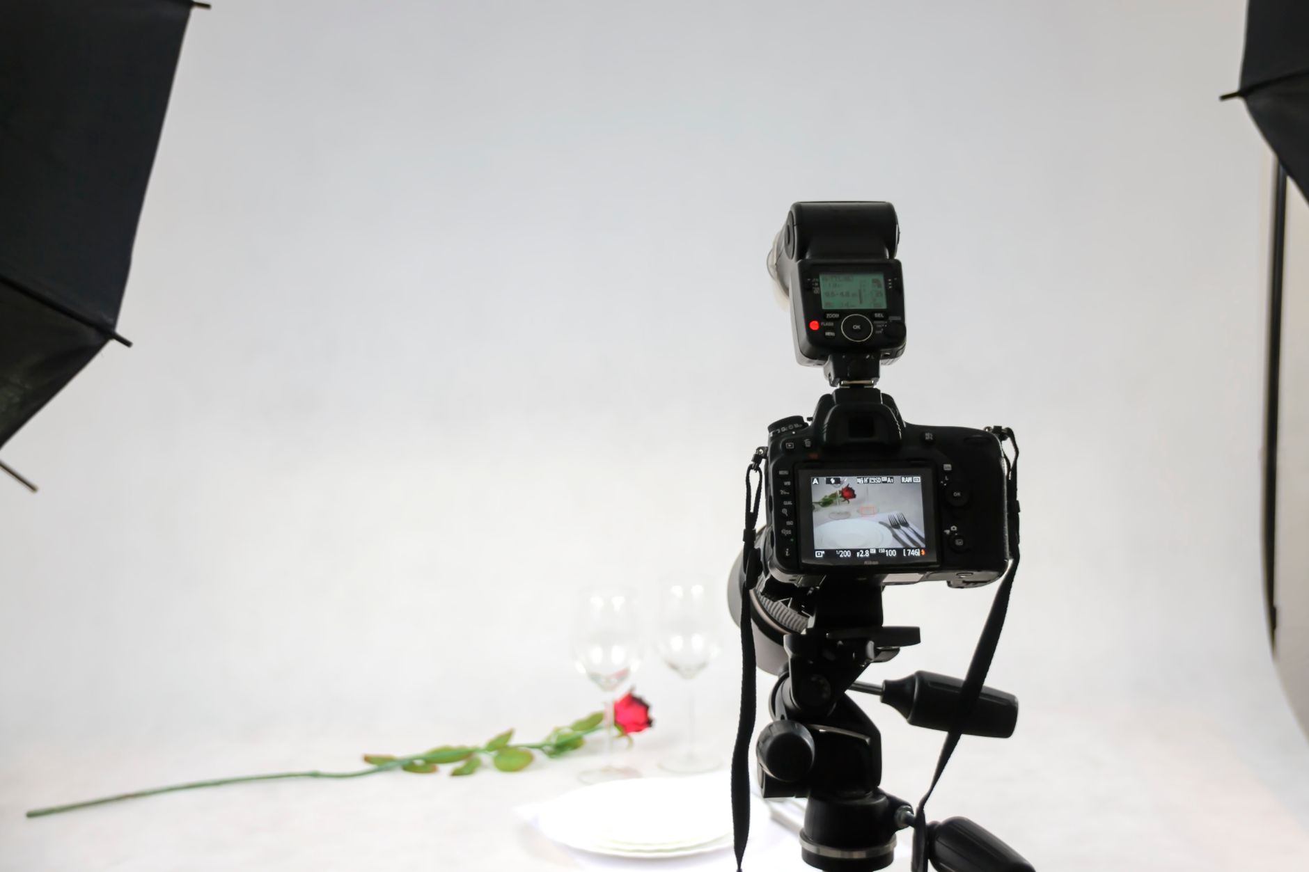 Macro Product Photography Dharamshala